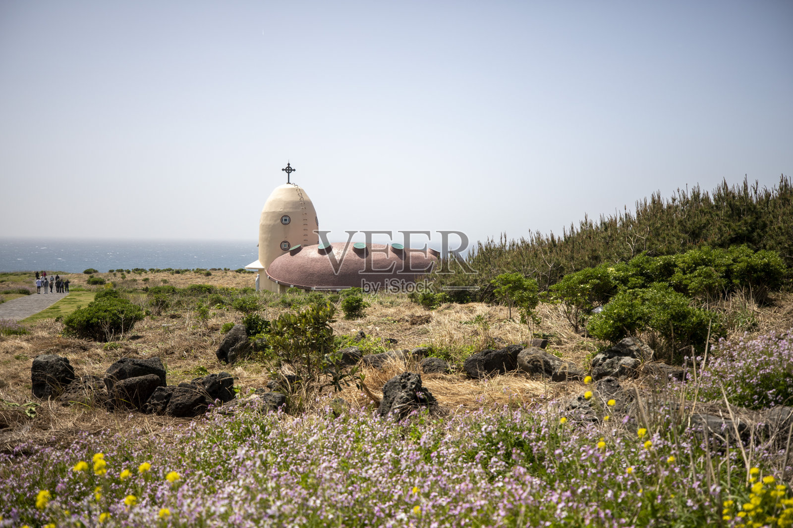 Marado、韩国照片摄影图片