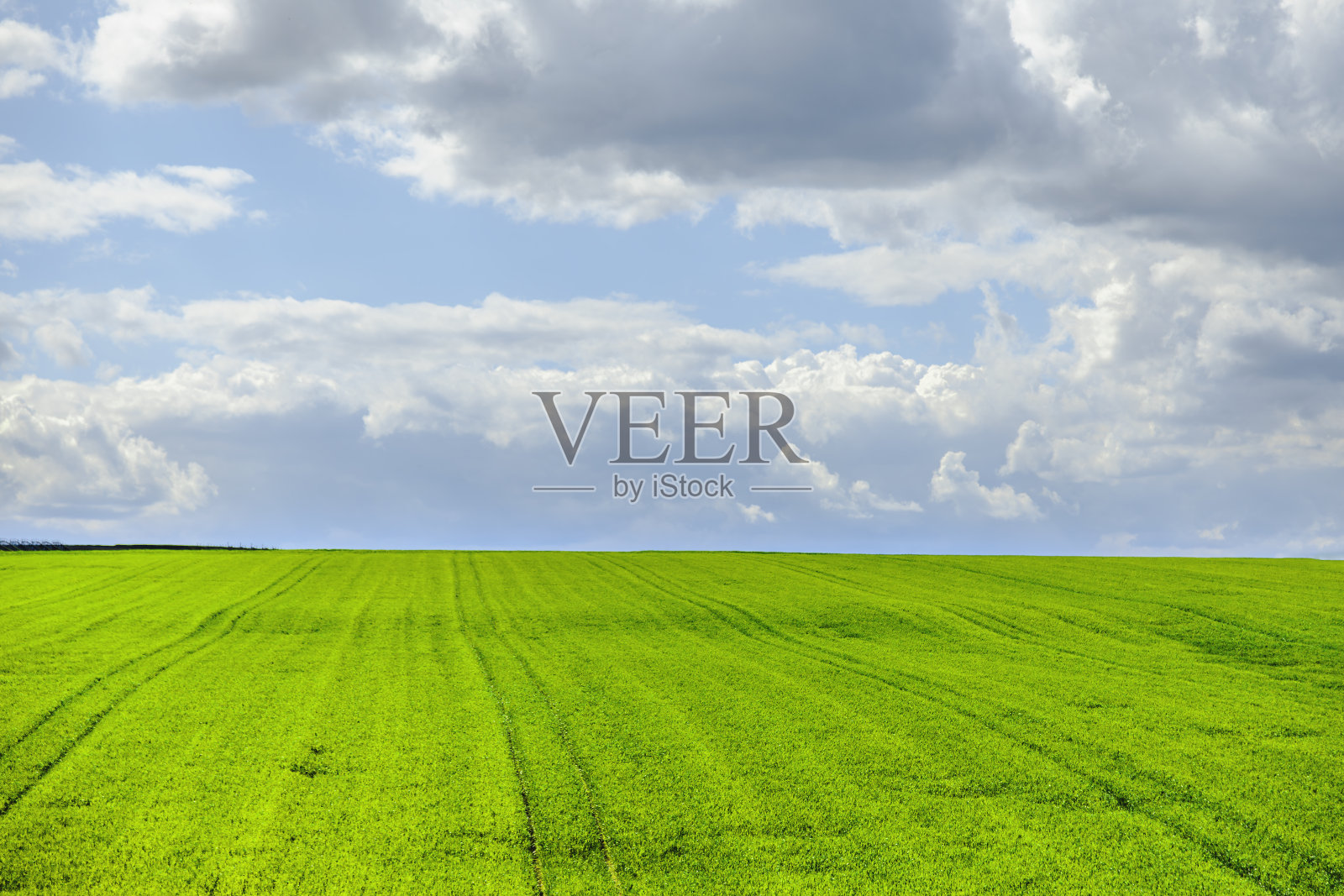 绿草如茵,蓝天白云照片摄影图片