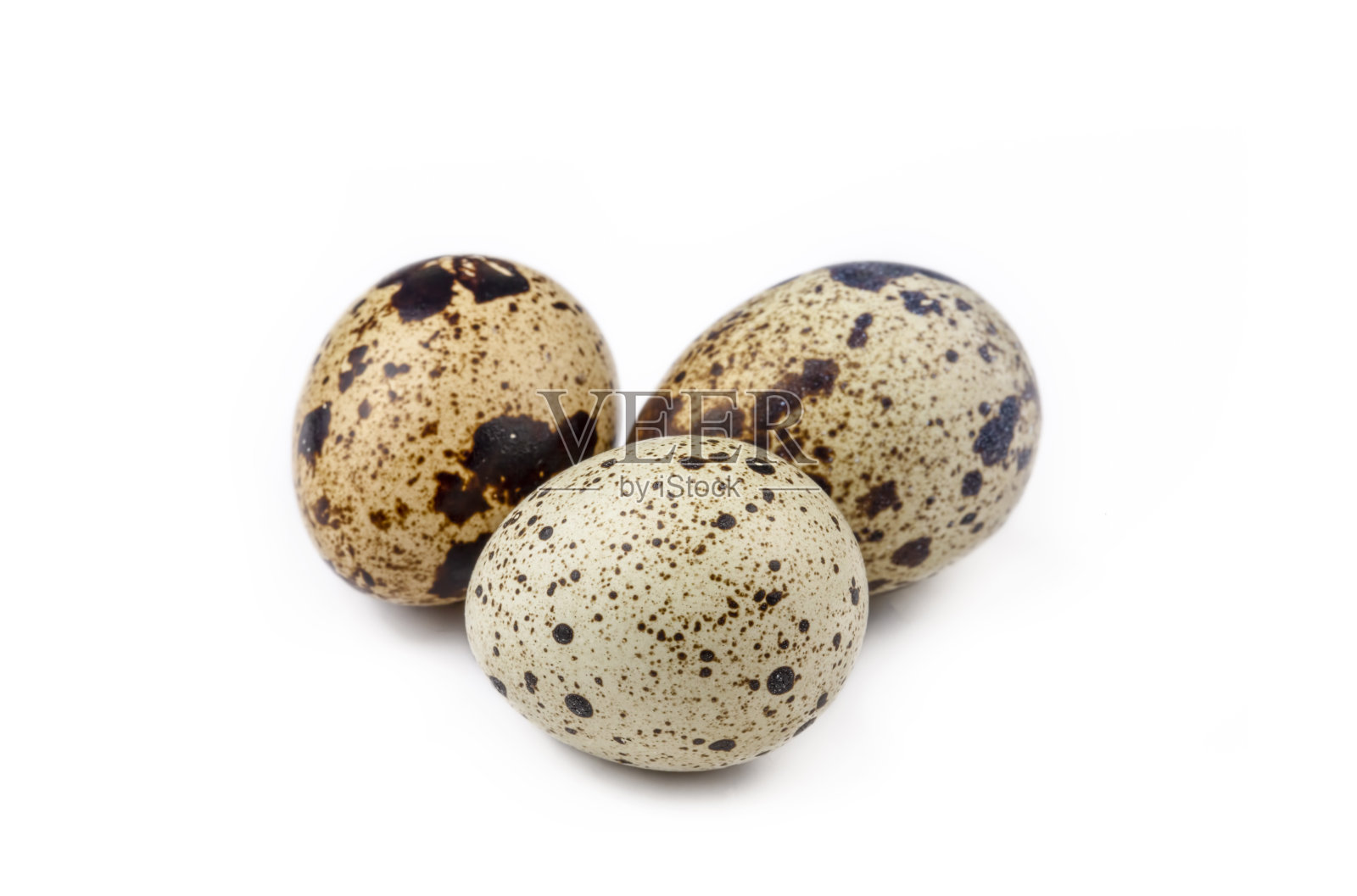 白色背景上的鹌鹑蛋照片摄影图片