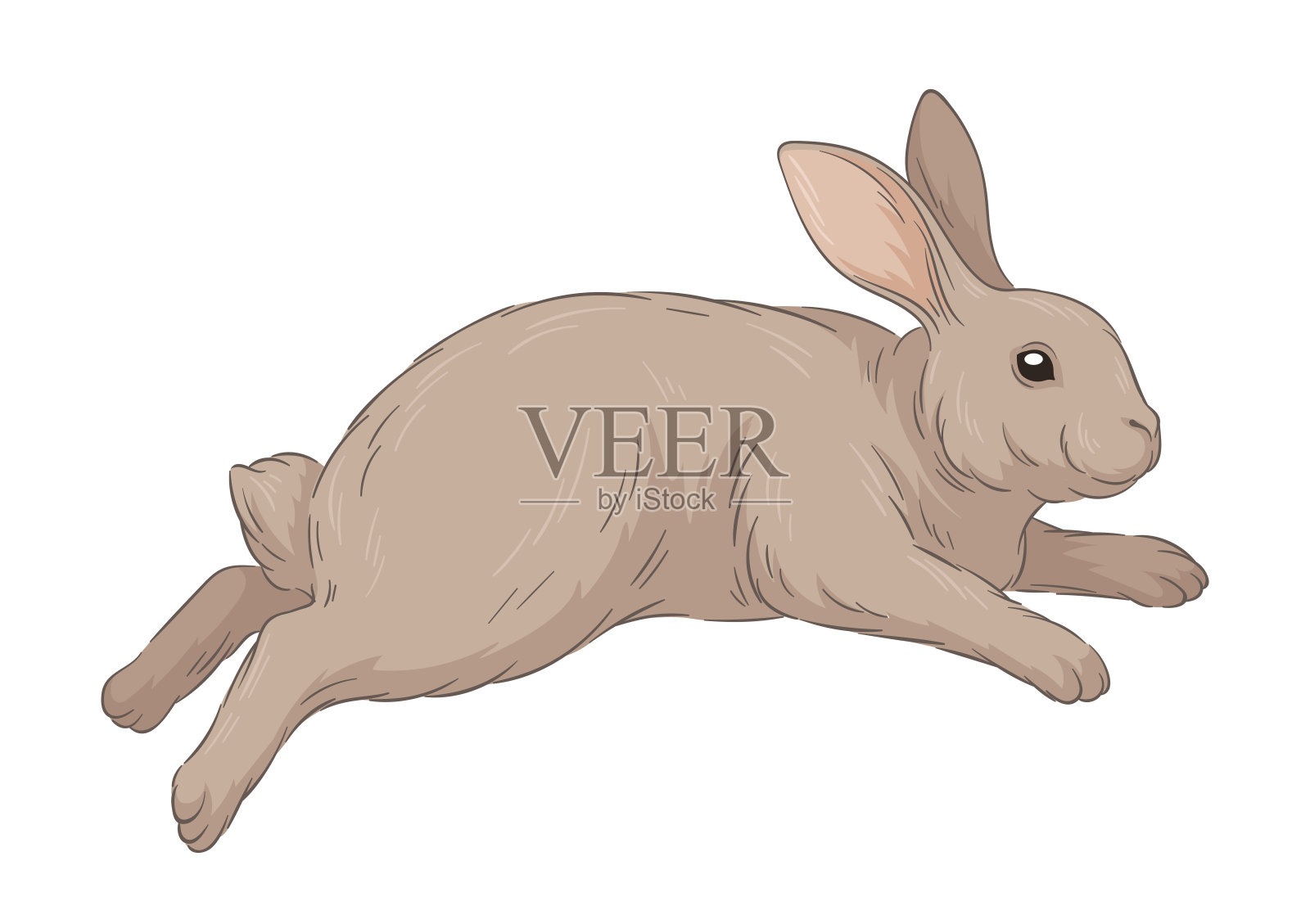 可爱的皮毛兔子矢量概念插画图片素材