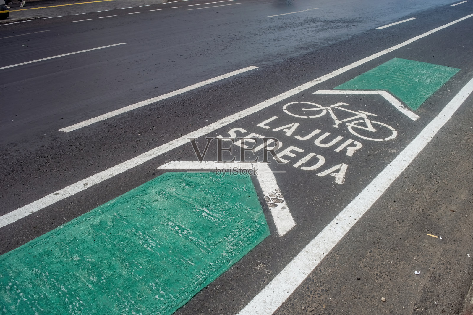 泗水市柏油路边的自行车道或自行车道照片摄影图片