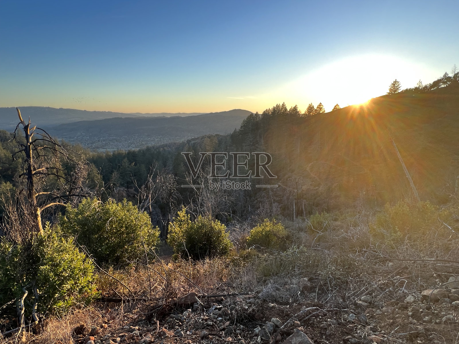 胡德山地区公园,索诺玛县,加利福尼亚州照片摄影图片