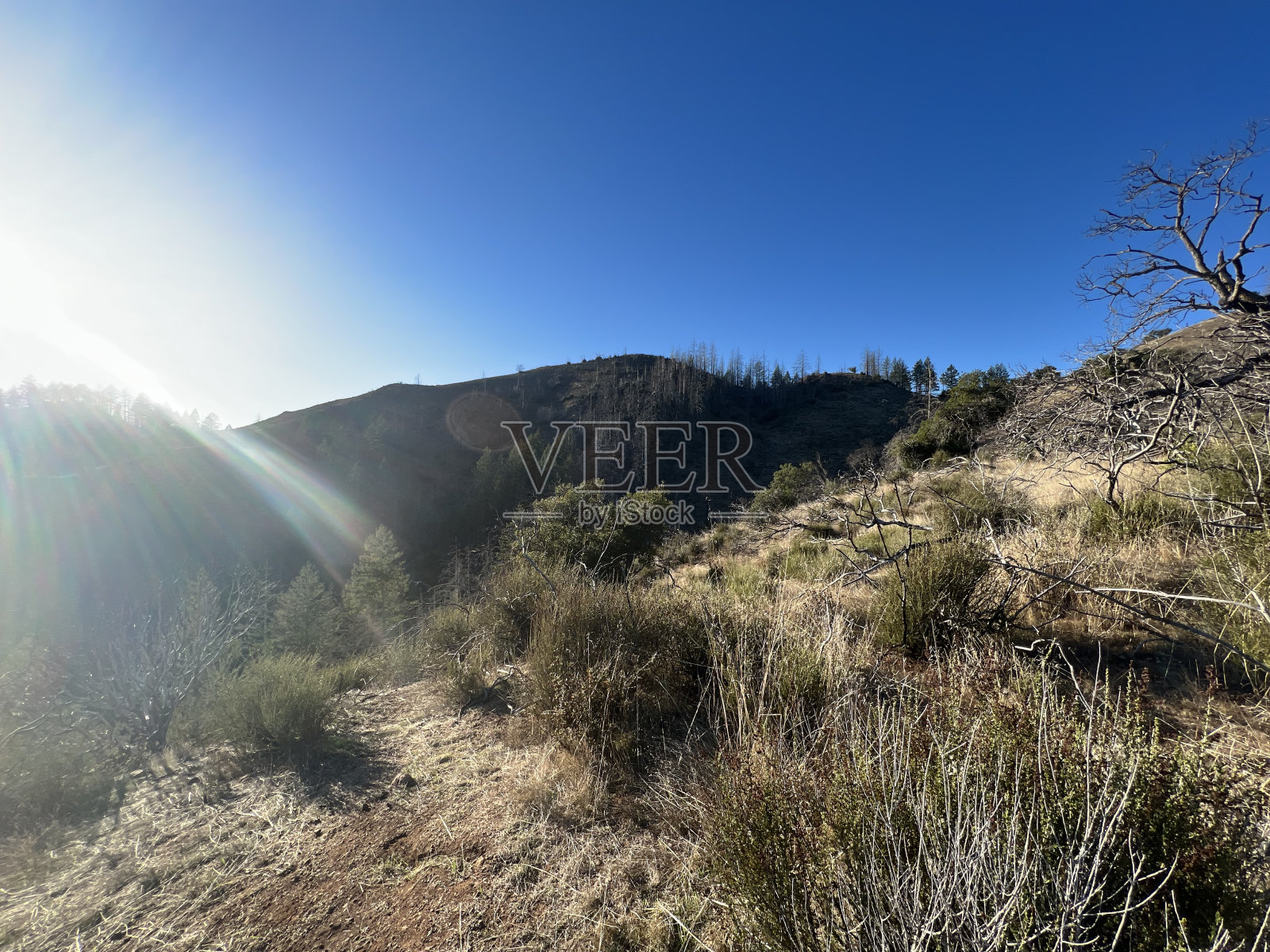 胡德山地区公园,索诺玛县,加利福尼亚州照片摄影图片