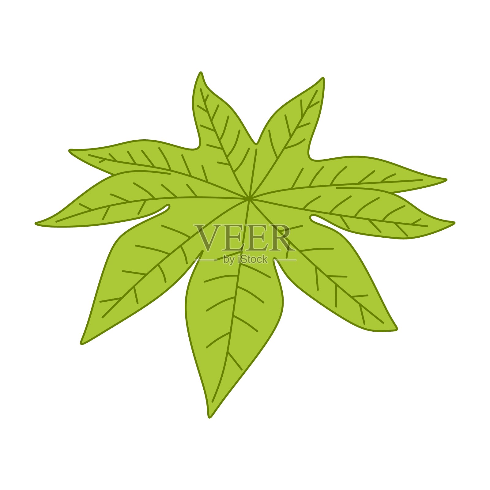 木瓜叶平面设计插画图片素材