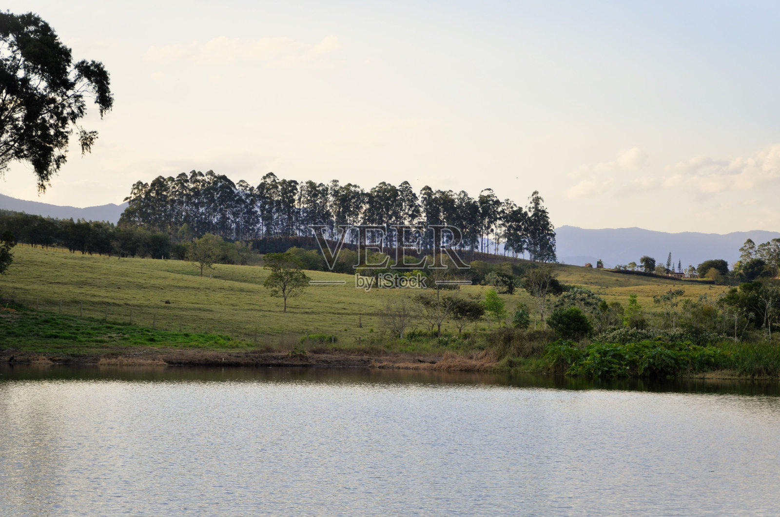 傍晚宁静的乡村湖泊照片摄影图片