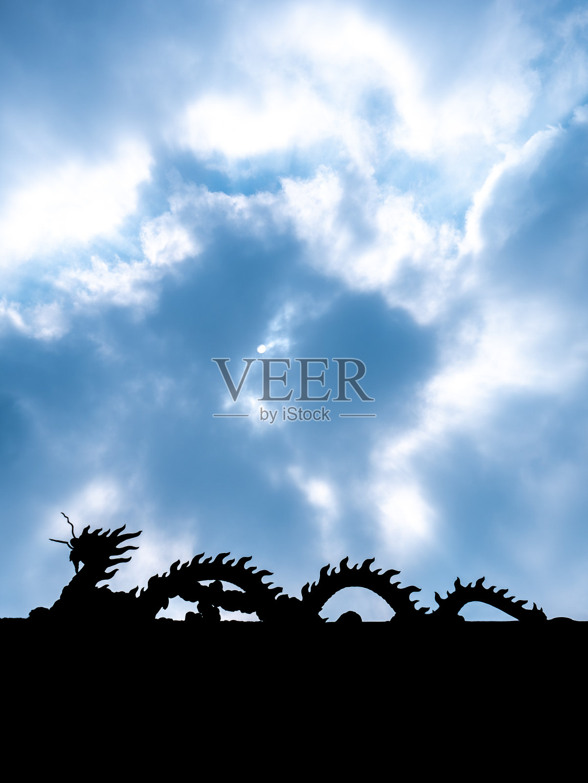 龙像侧面朝左走在屋顶上照片摄影图片