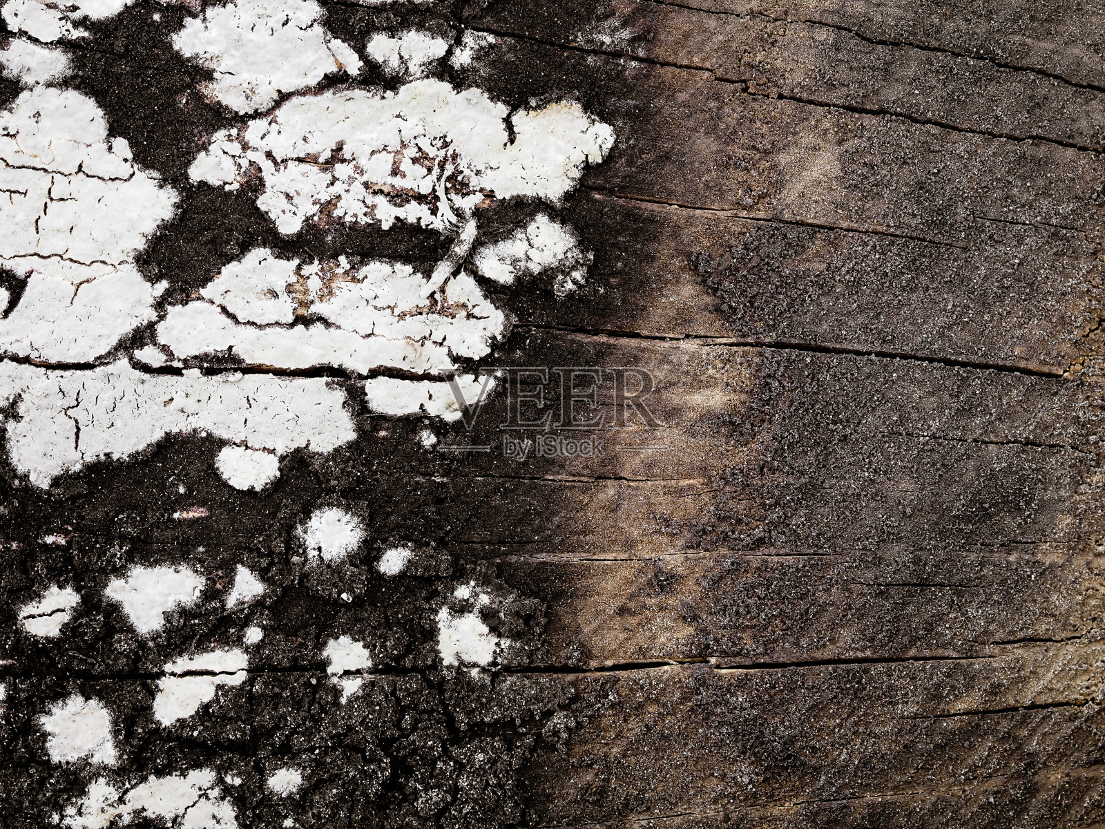 褐色木材纹理。抽象背景,空模板照片摄影图片