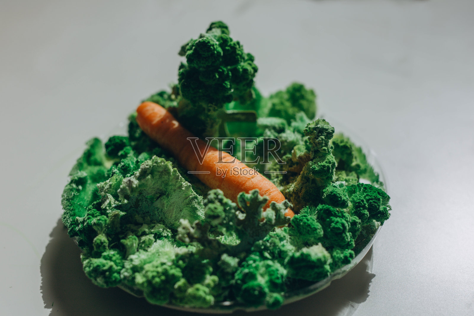 长有霉菌和苔藓的橙色胡萝卜。照片摄影图片