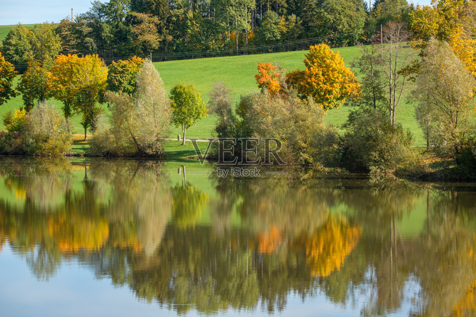 湖上的草地和秋天的树木照片摄影图片