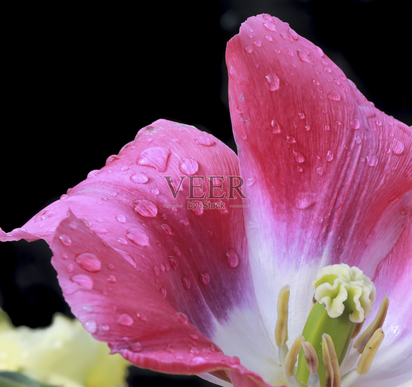 雨后照片摄影图片