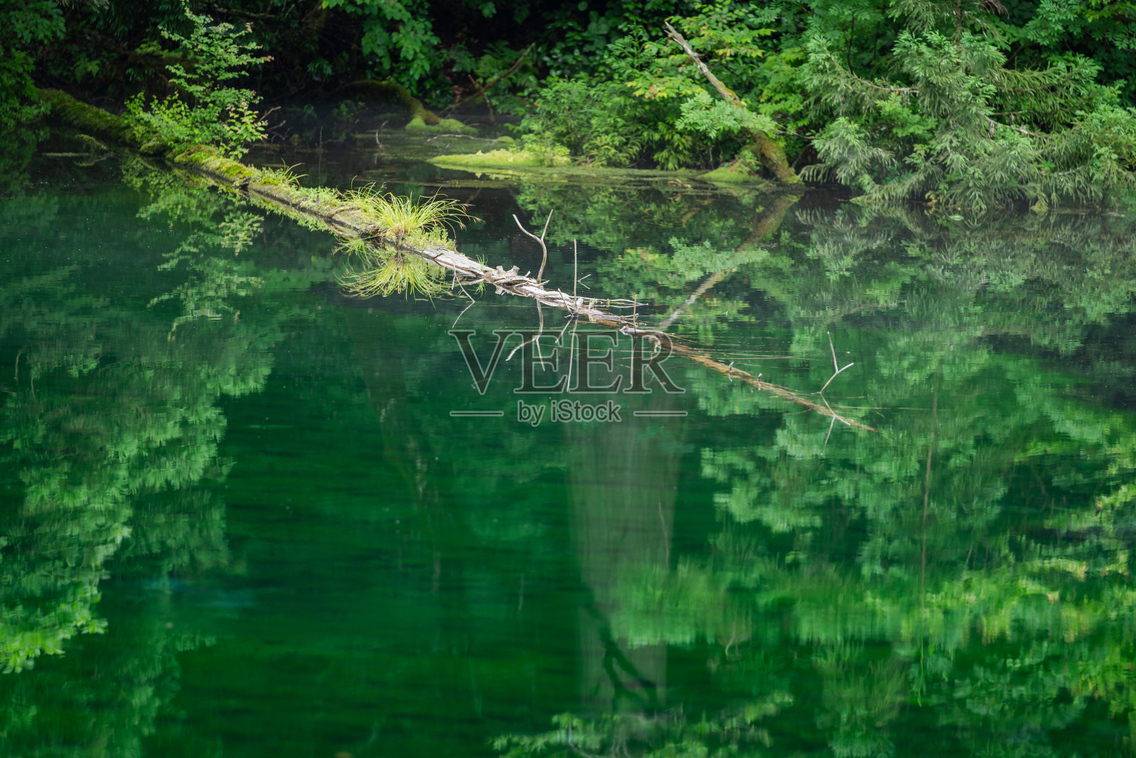 龙久保在阴天照片摄影图片