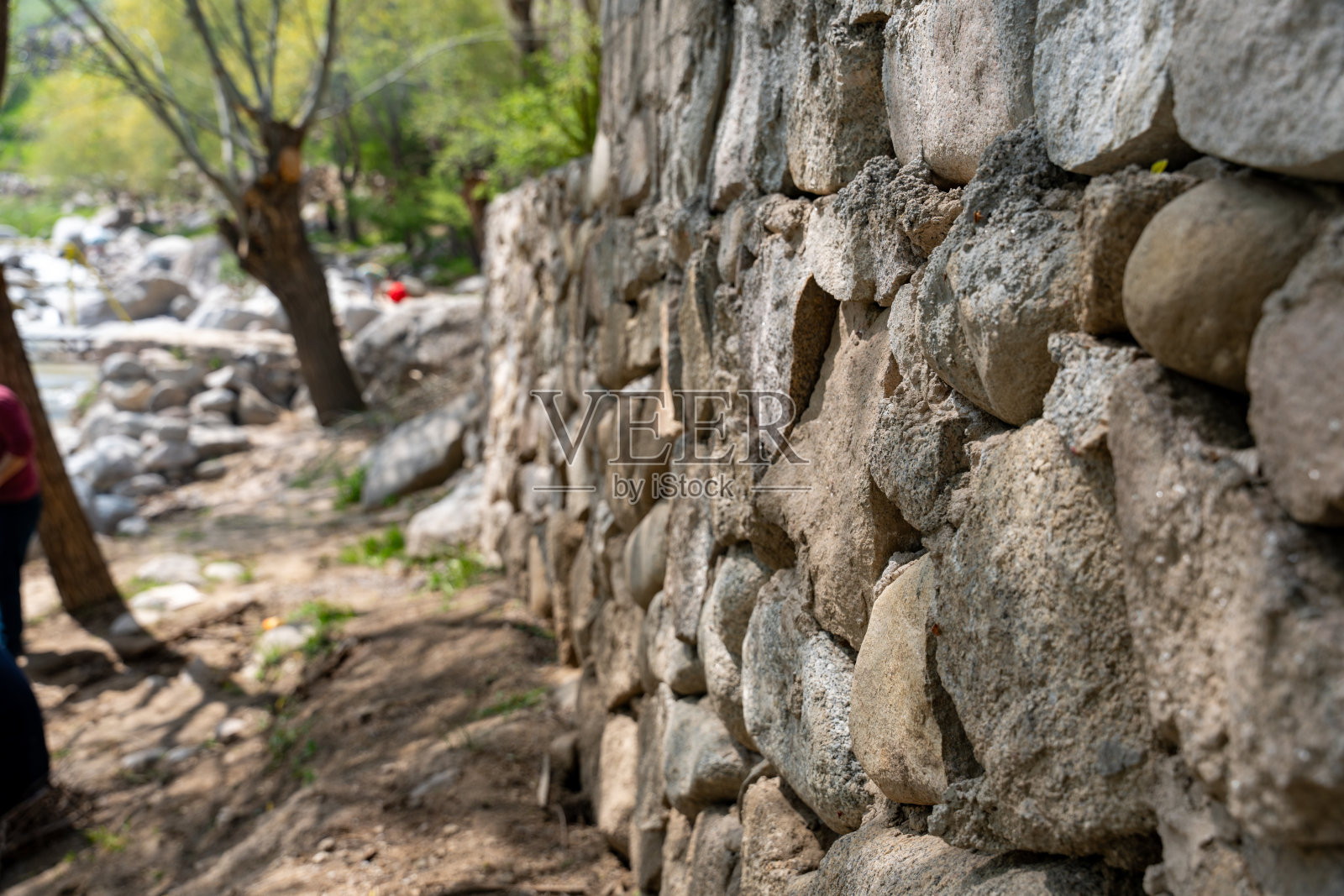 背景中可以看到一堵由岩石构成的墙照片摄影图片