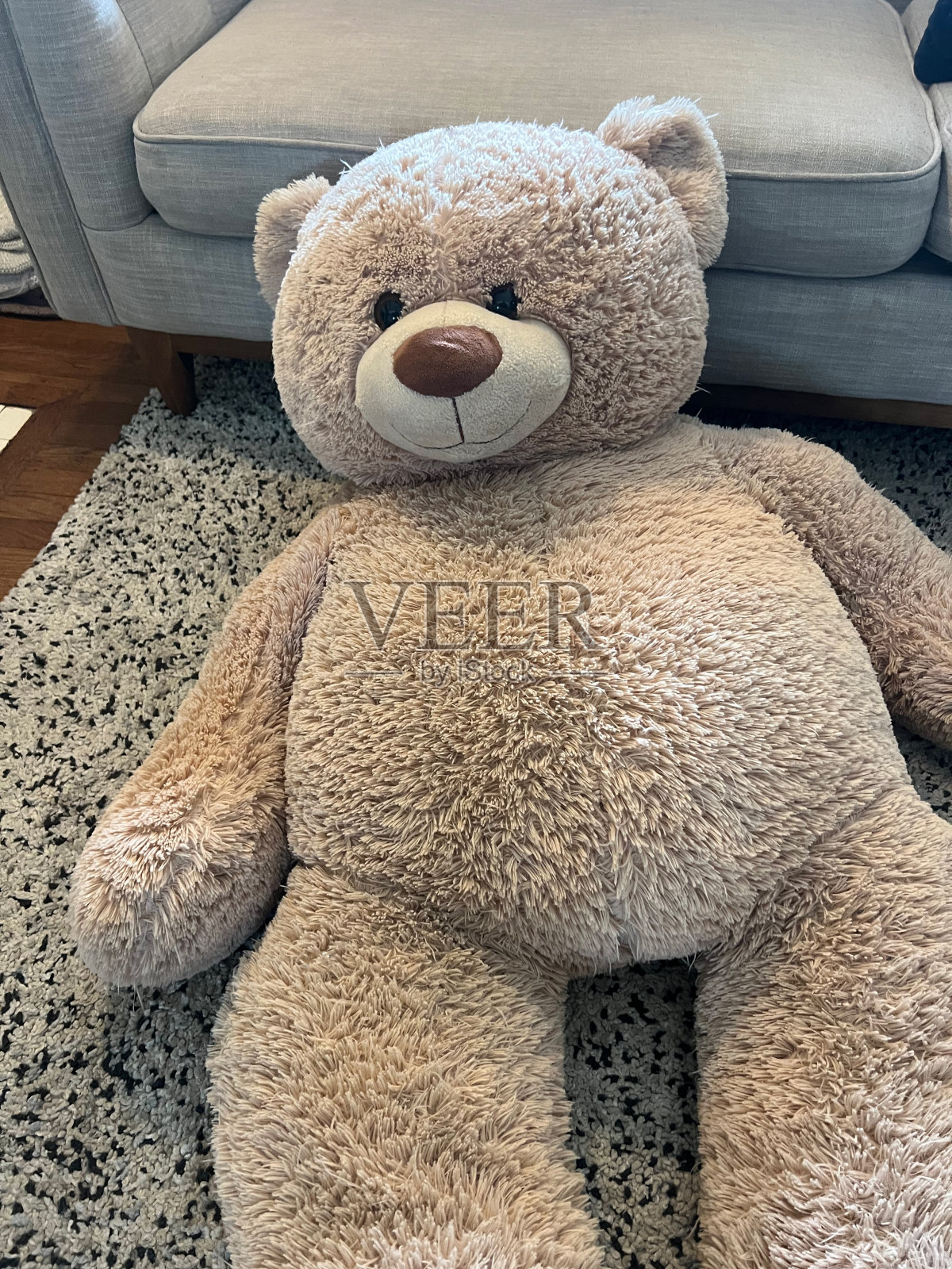 大泰迪熊照片摄影图片