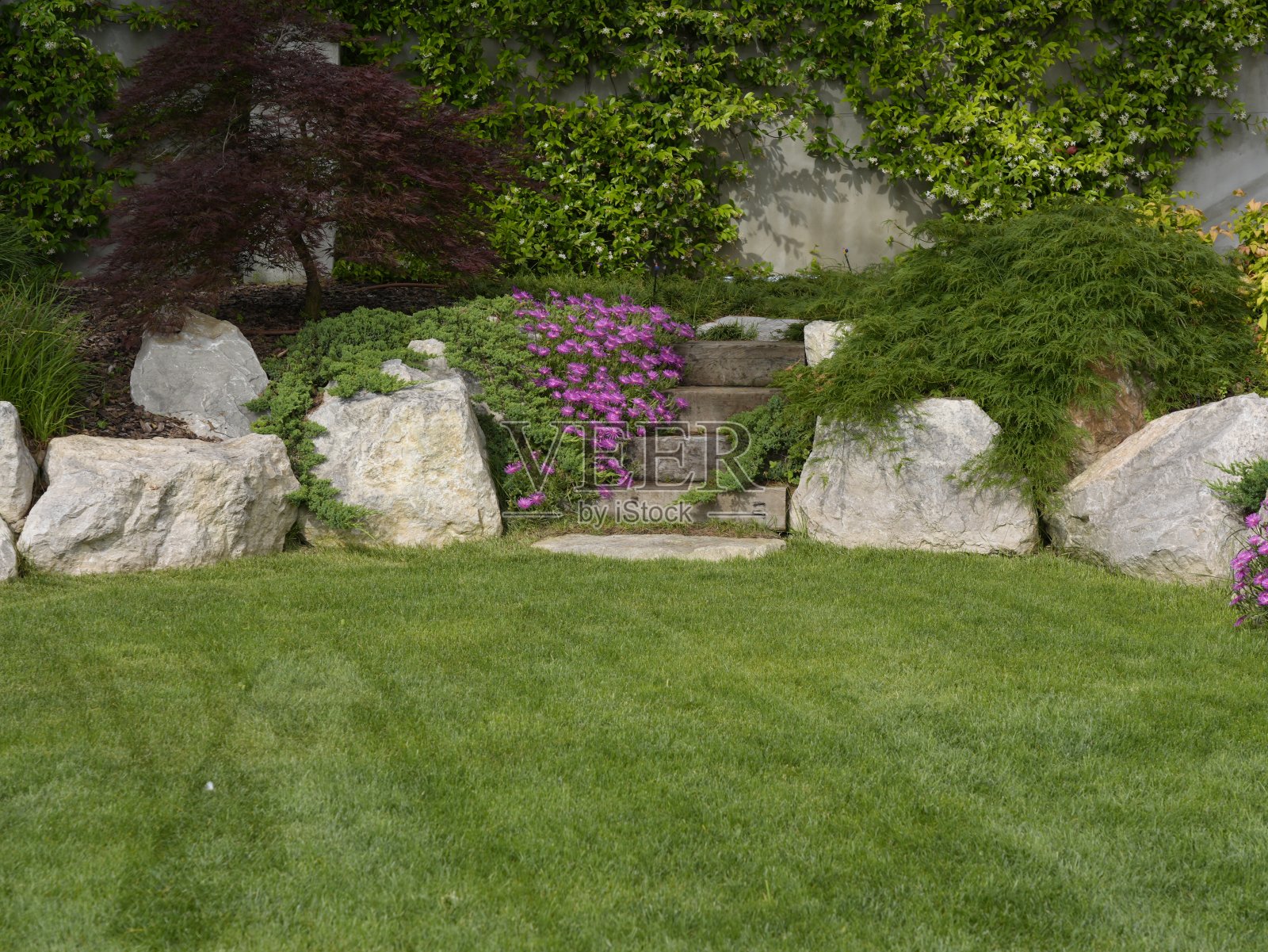 国内花园照片摄影图片