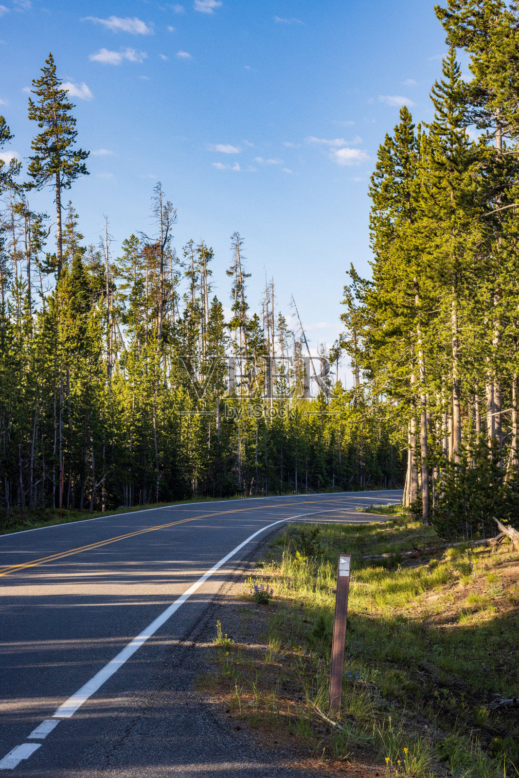怀俄明州黄石国家公园刘易斯湖附近的双车道高速公路照片摄影图片