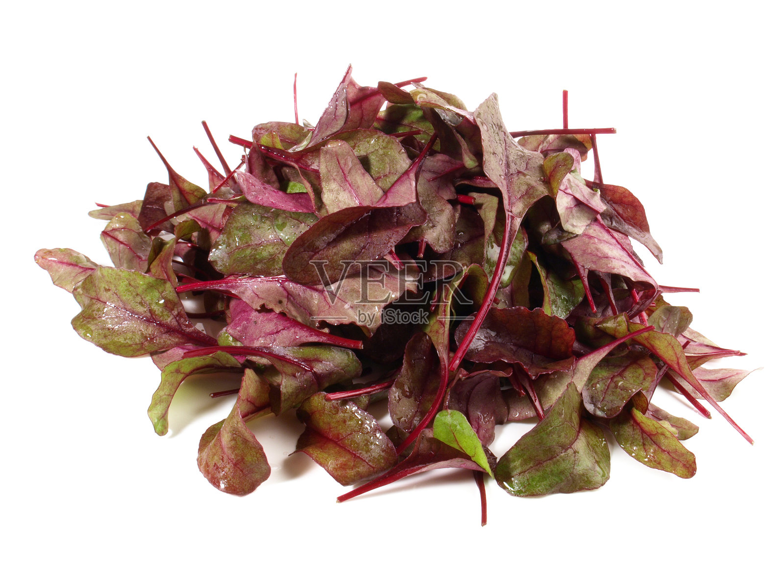 甜菜根沙拉在白色隔离照片摄影图片