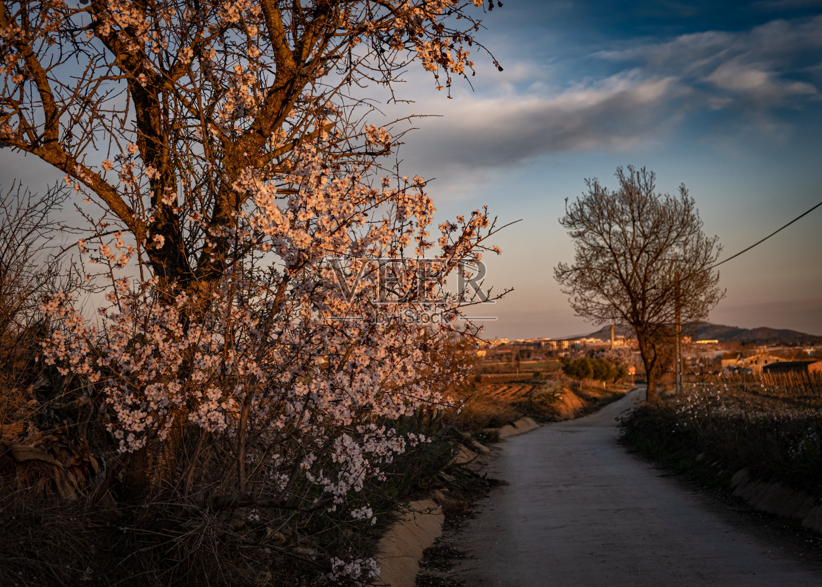 乡村的春天照片摄影图片