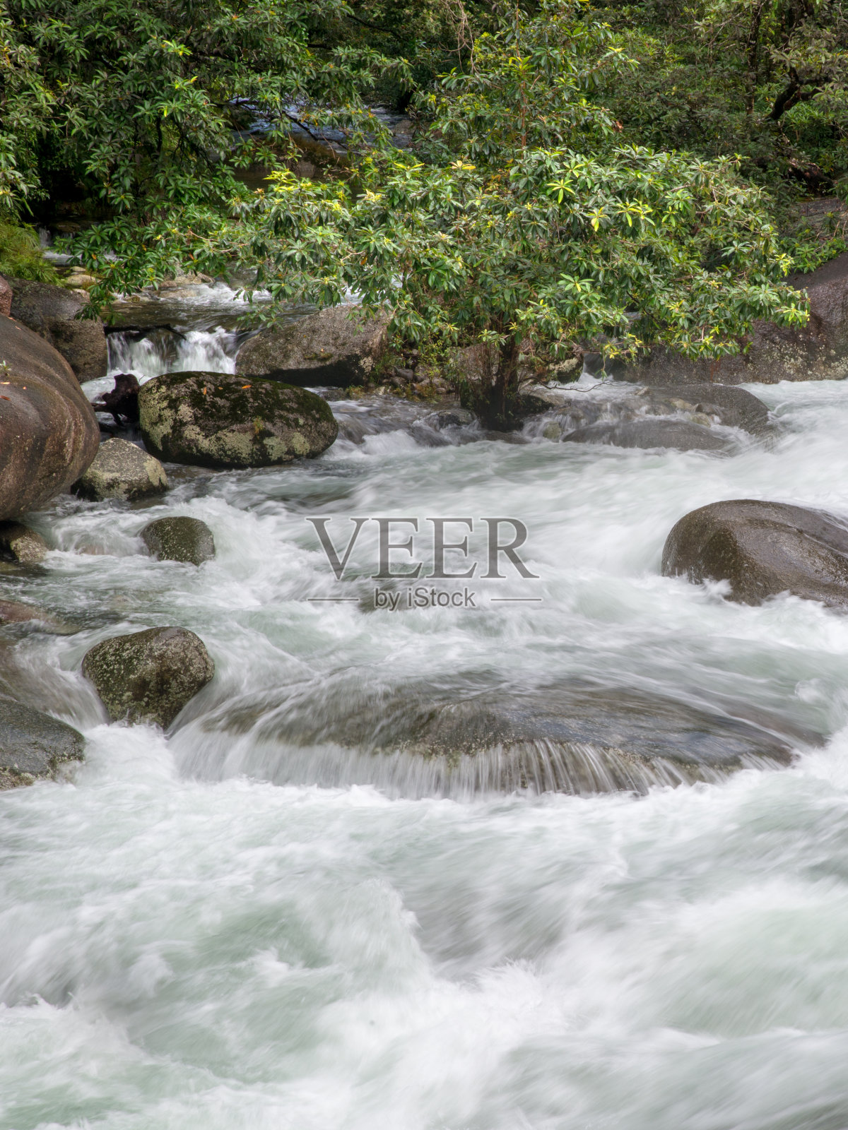Babinda巨石照片摄影图片