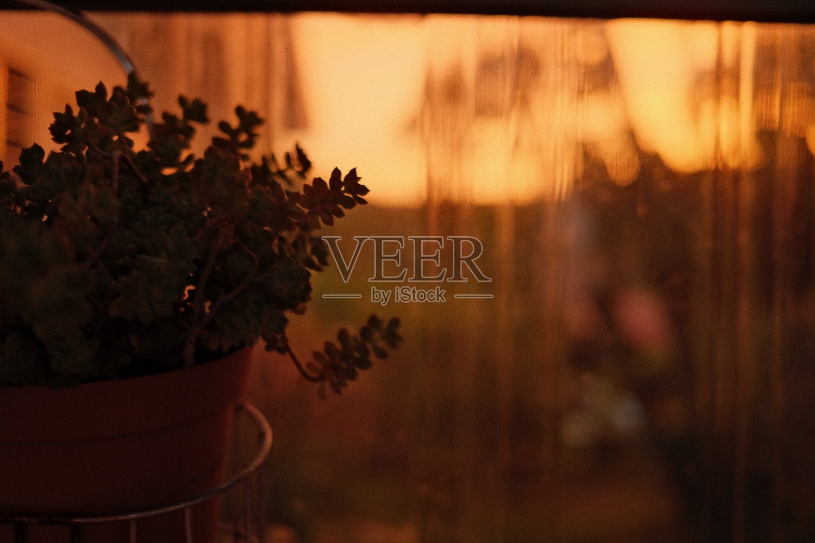 大自然和日落……照片摄影图片