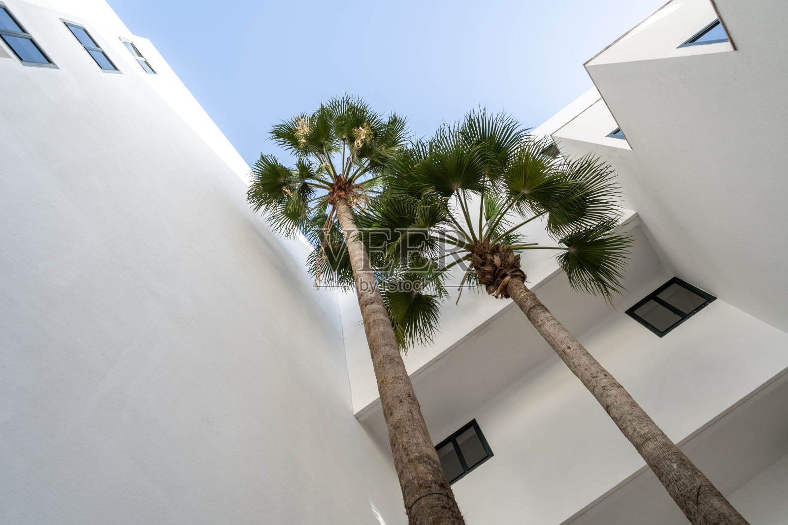 现代白色建筑与棕榈树在蓝天的背景。干净的建筑线条,葱翠的棕榈树照片摄影图片