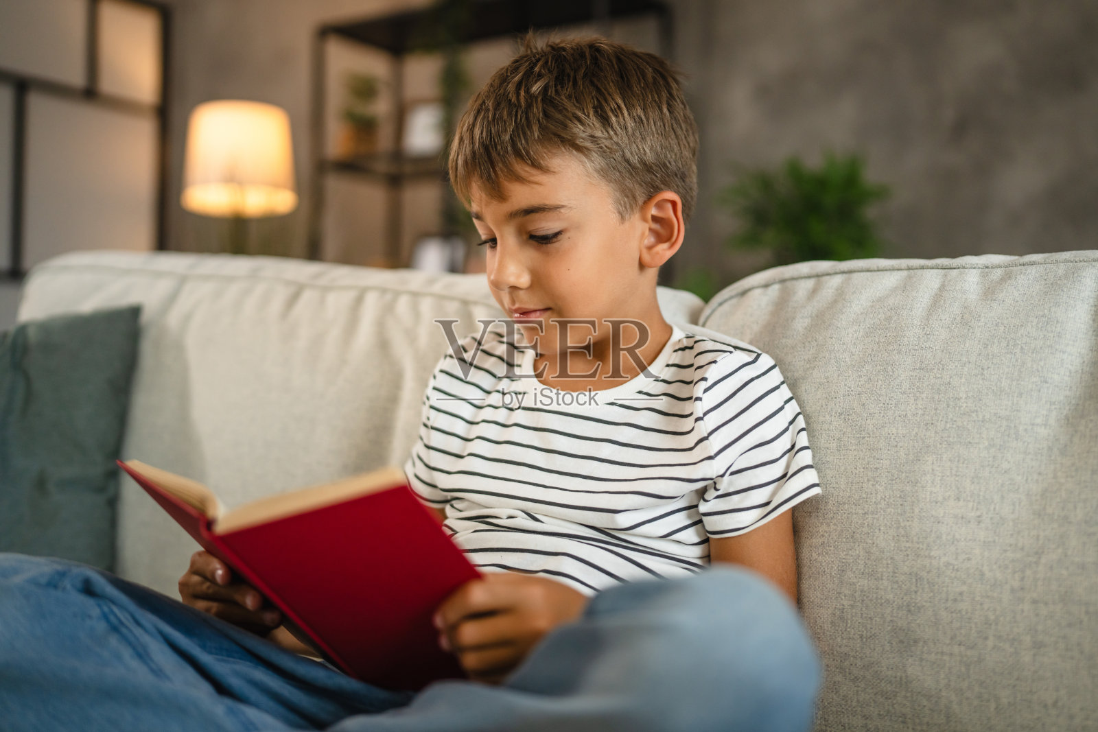 一个年轻的白人小男孩坐在沙发上看书照片摄影图片