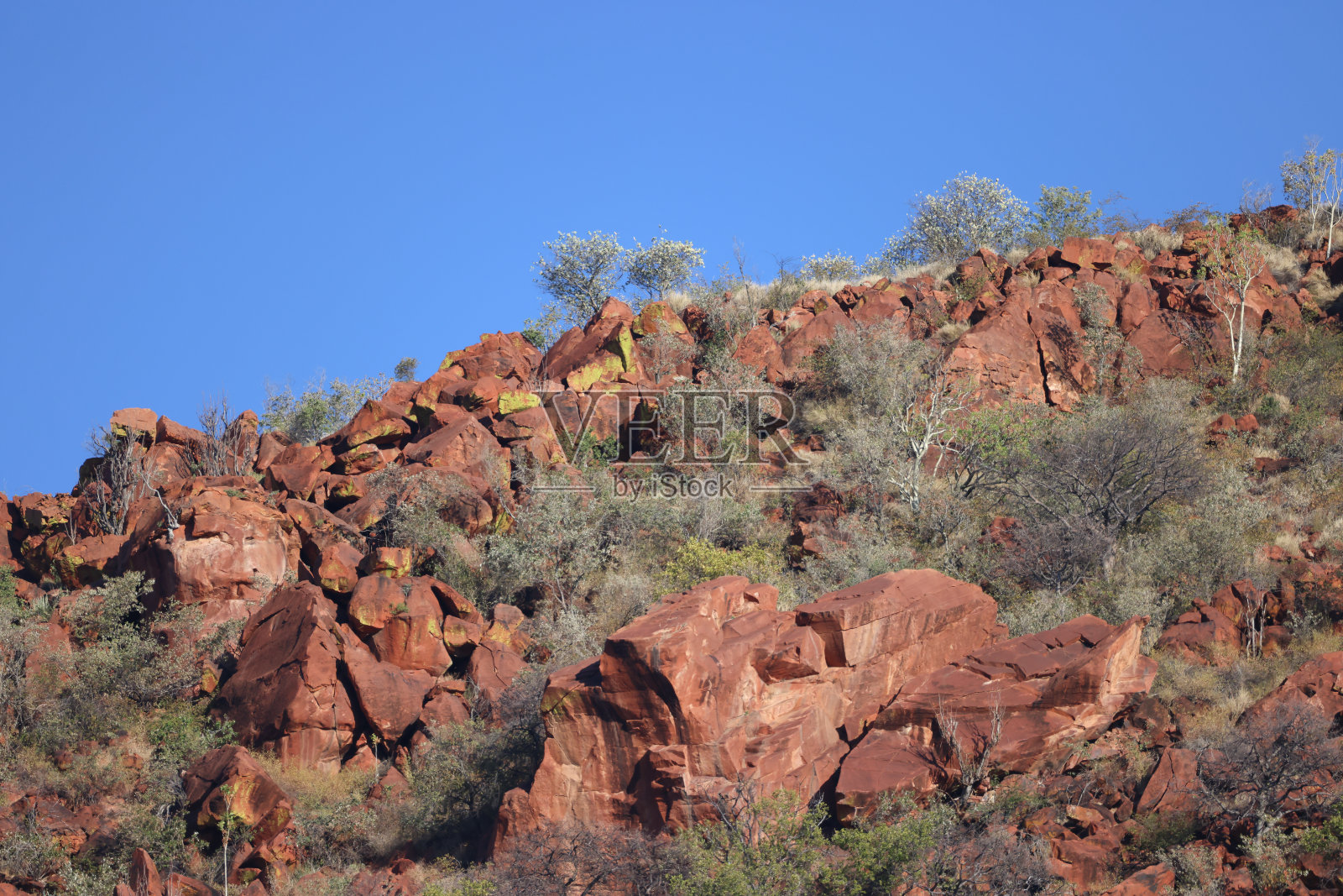 纳米比亚沃特堡高原的红色岩石照片摄影图片