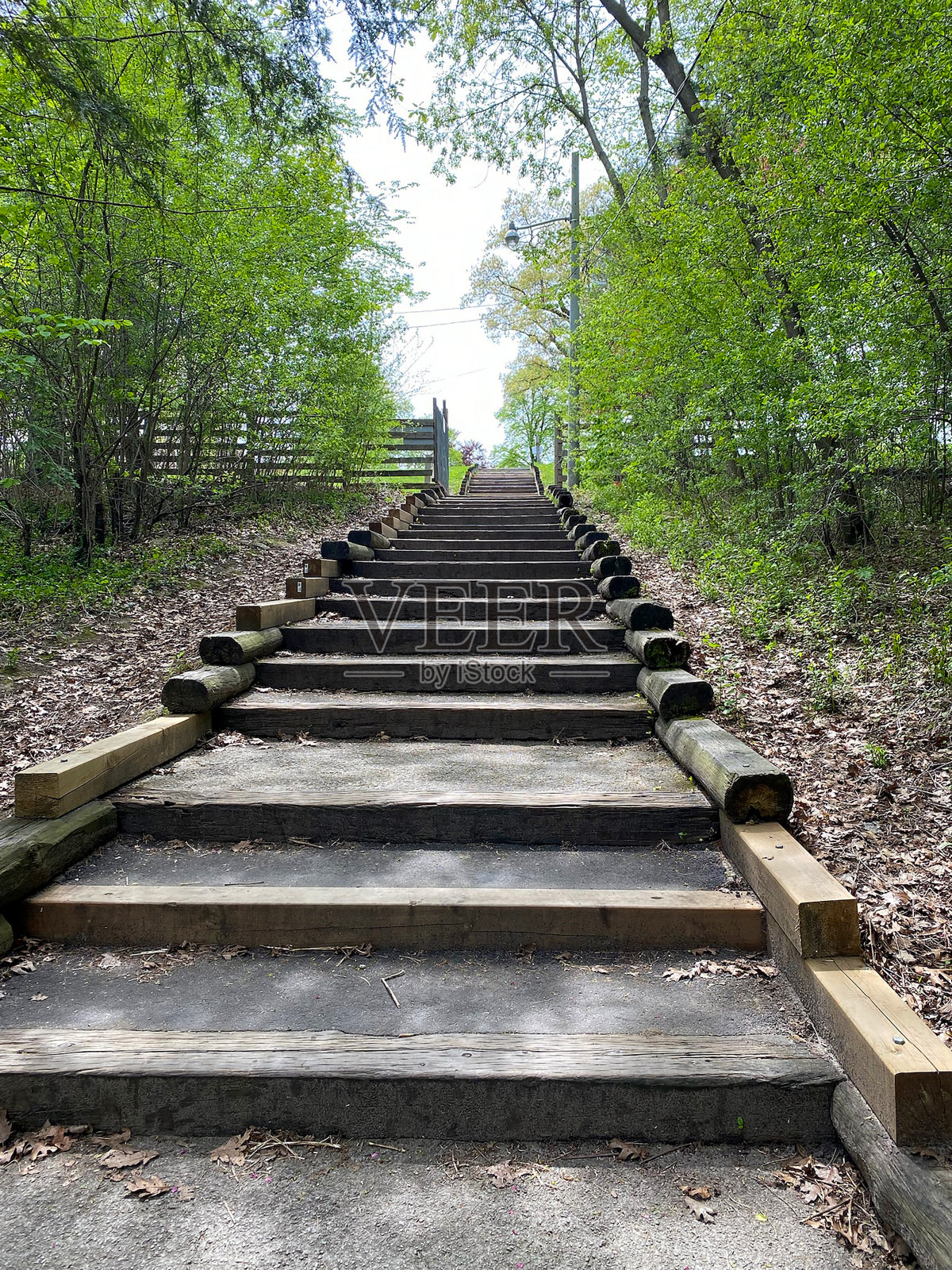 自然景观-公园楼梯照片摄影图片