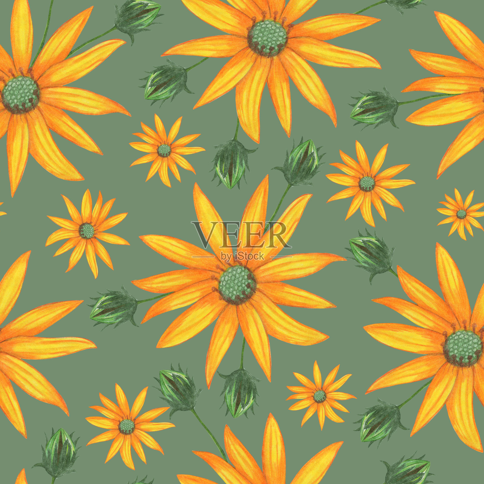 Topinambur花无缝图案。花卉数码纸。插画图片素材