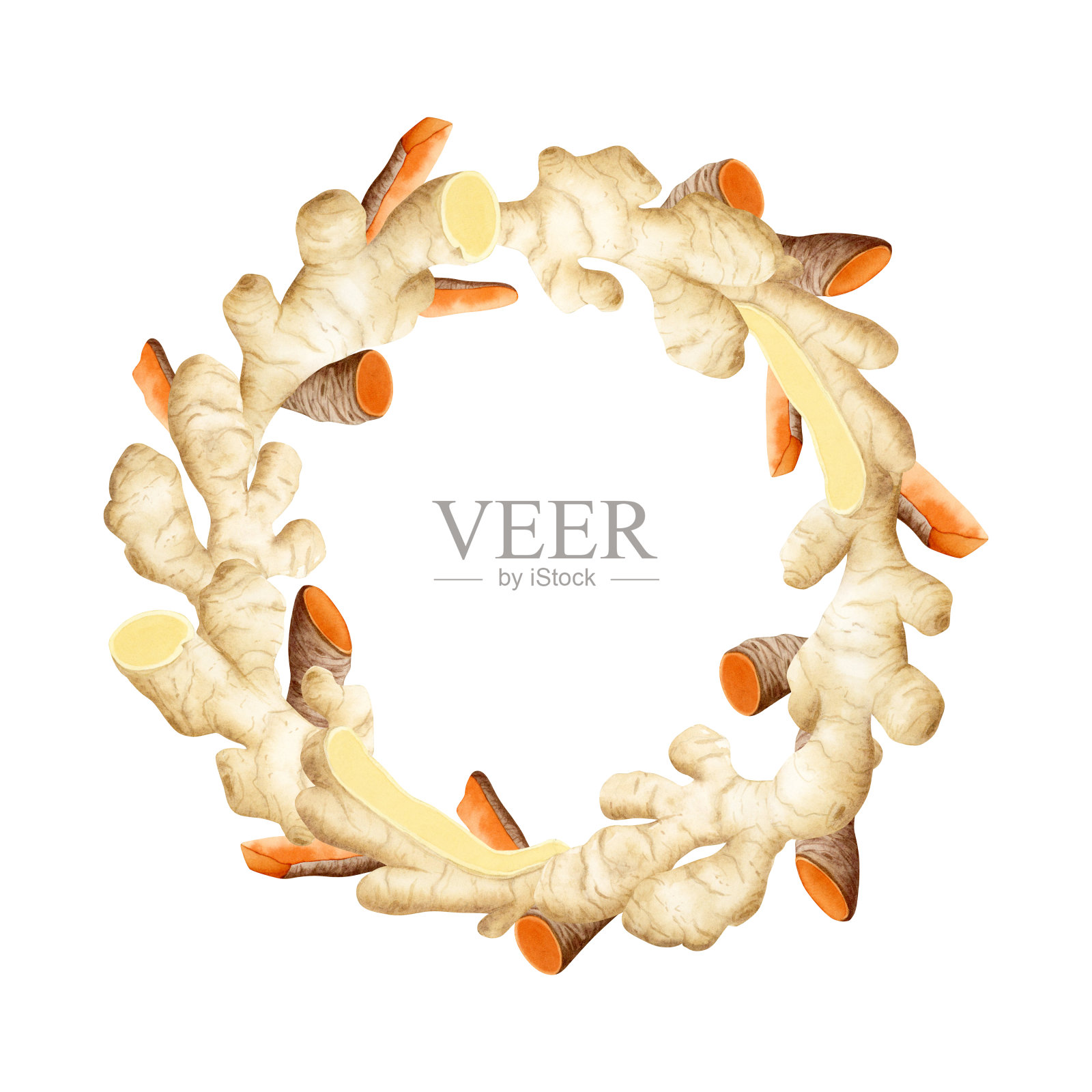 姜黄和姜根圆花环标签模板。手绘水彩插图隔离在白色背景上的橙色和米色的标志。姜黄是一种辛辣的蔬菜插画图片素材