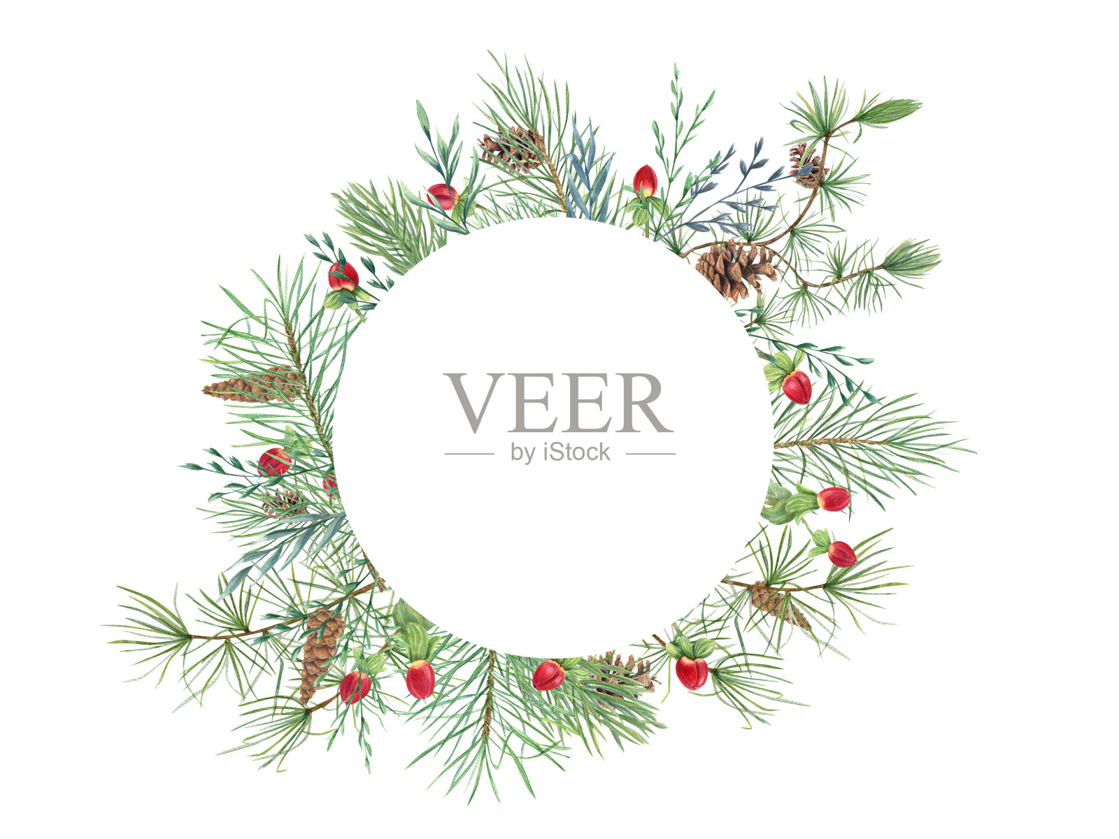 圣诞花环用松果、浆果、香草、常绿树枝做成。云杉,落叶松,球果和圣约翰草。水彩插图孤立在白色。用来制作贺卡、请柬插画图片素材