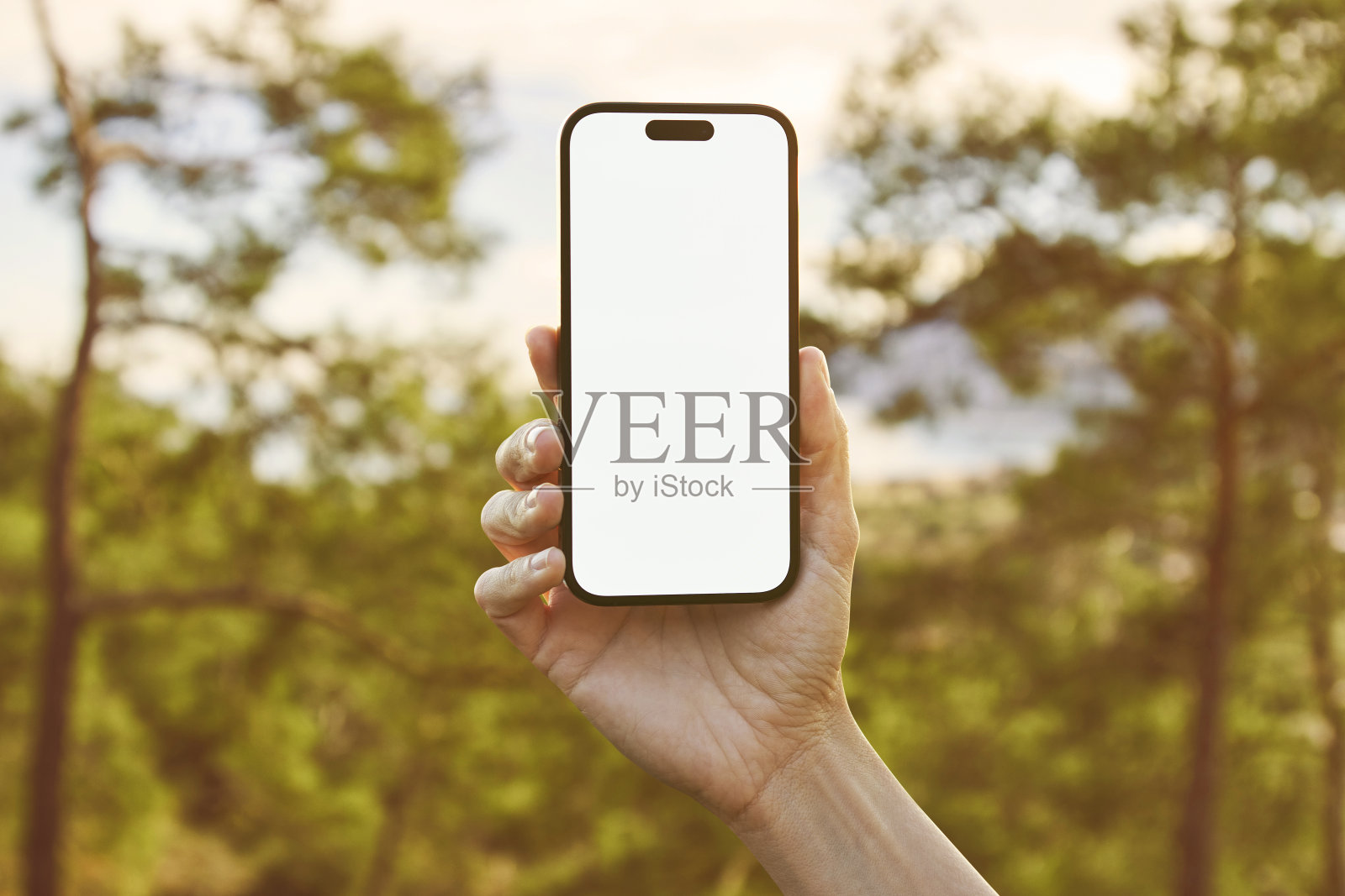 年轻女子展示手机空白屏幕在夏天的背景照片摄影图片