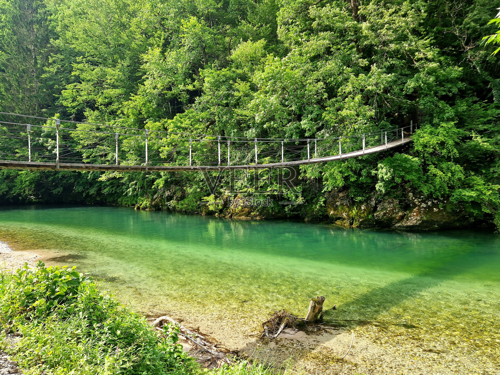 绿茵茵的伊德里贾河——大自然中的吊桥照片摄影图片