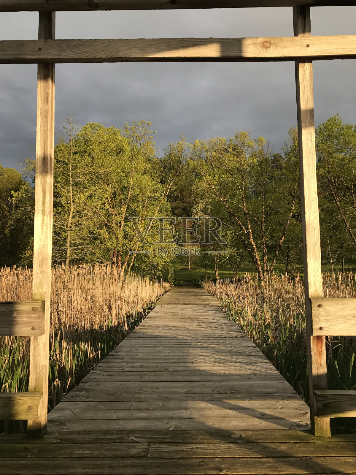 纽约黄金时间照片摄影图片