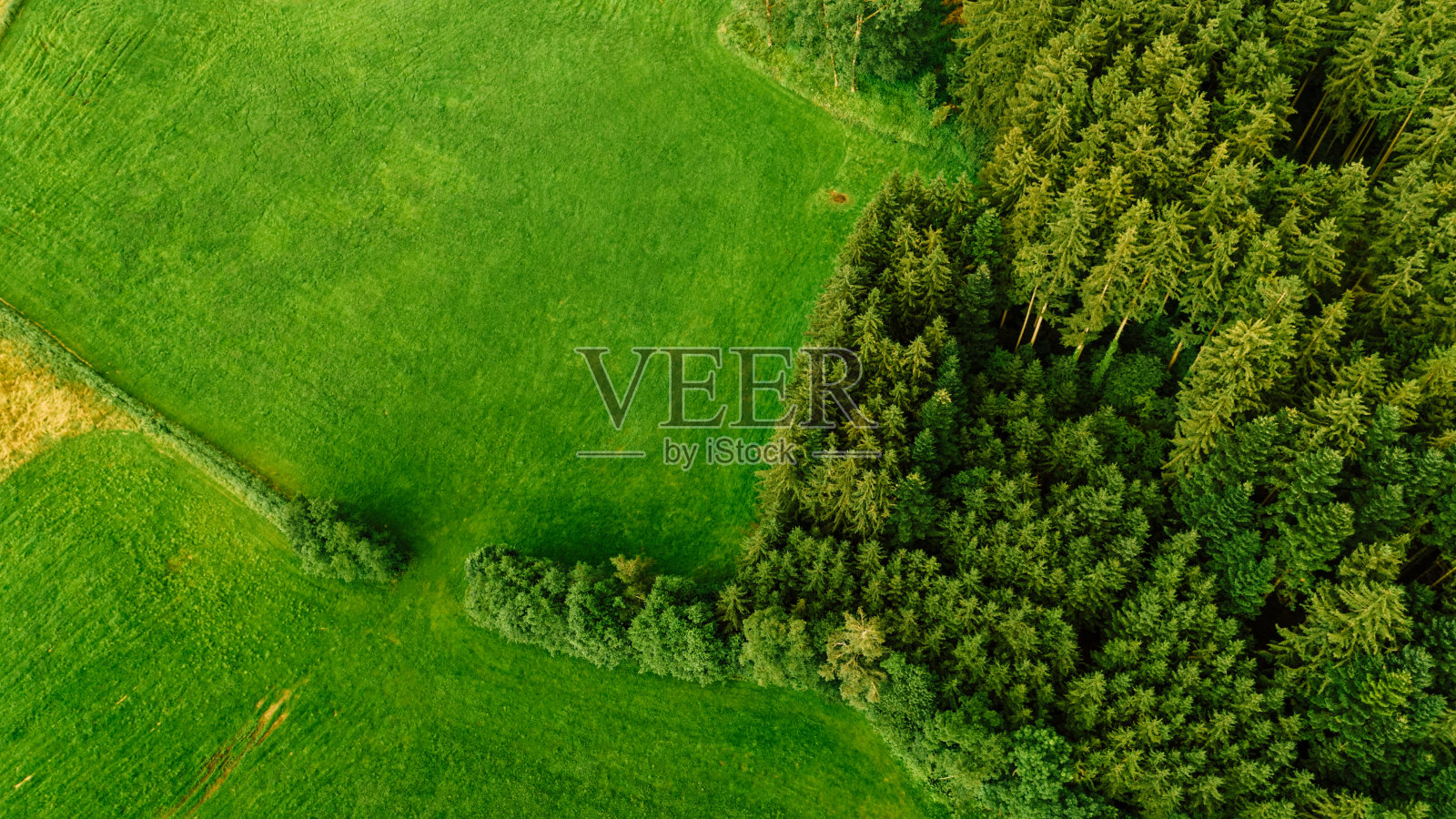 德国森林和田野的鸟瞰图照片摄影图片