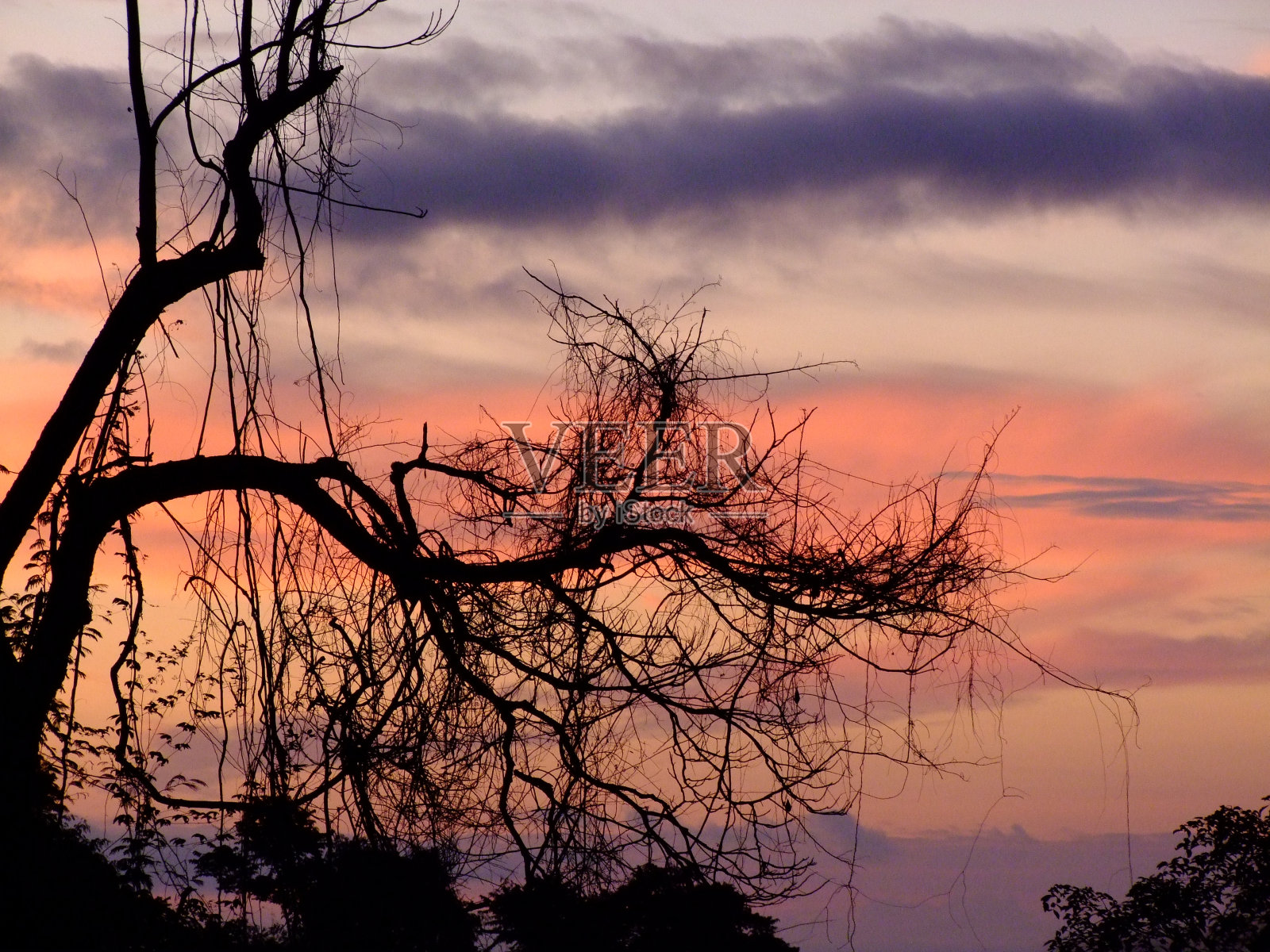 走进夕阳照片摄影图片