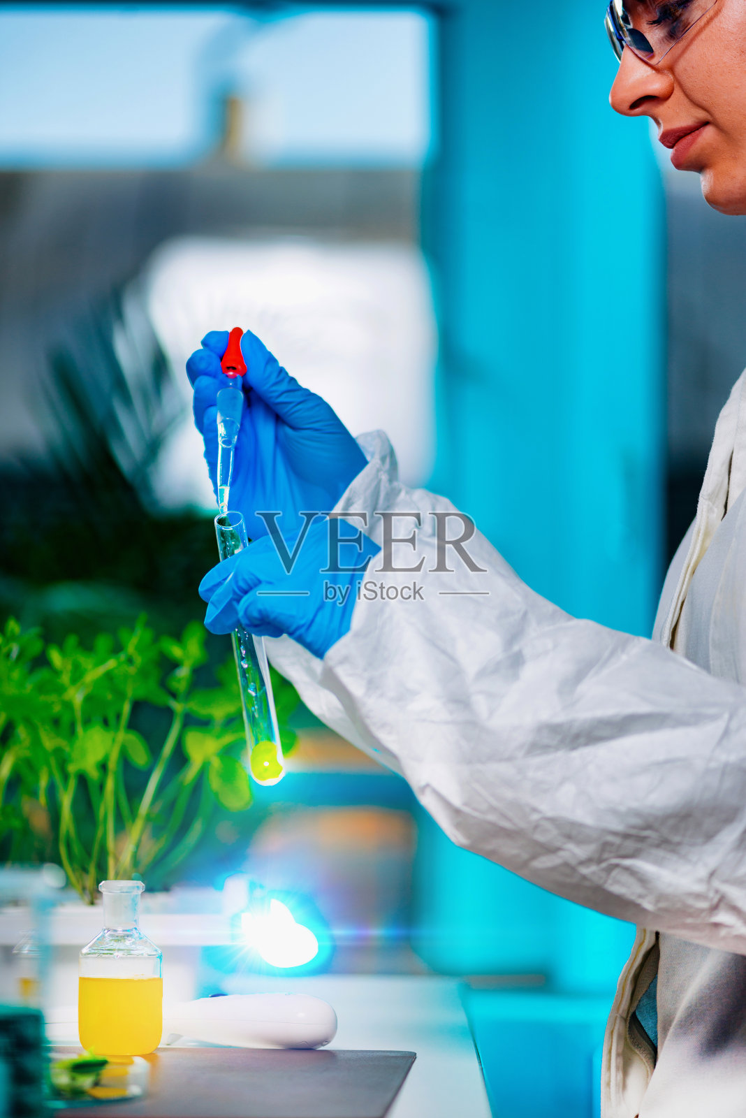 生物学家正在用植物做实验照片摄影图片