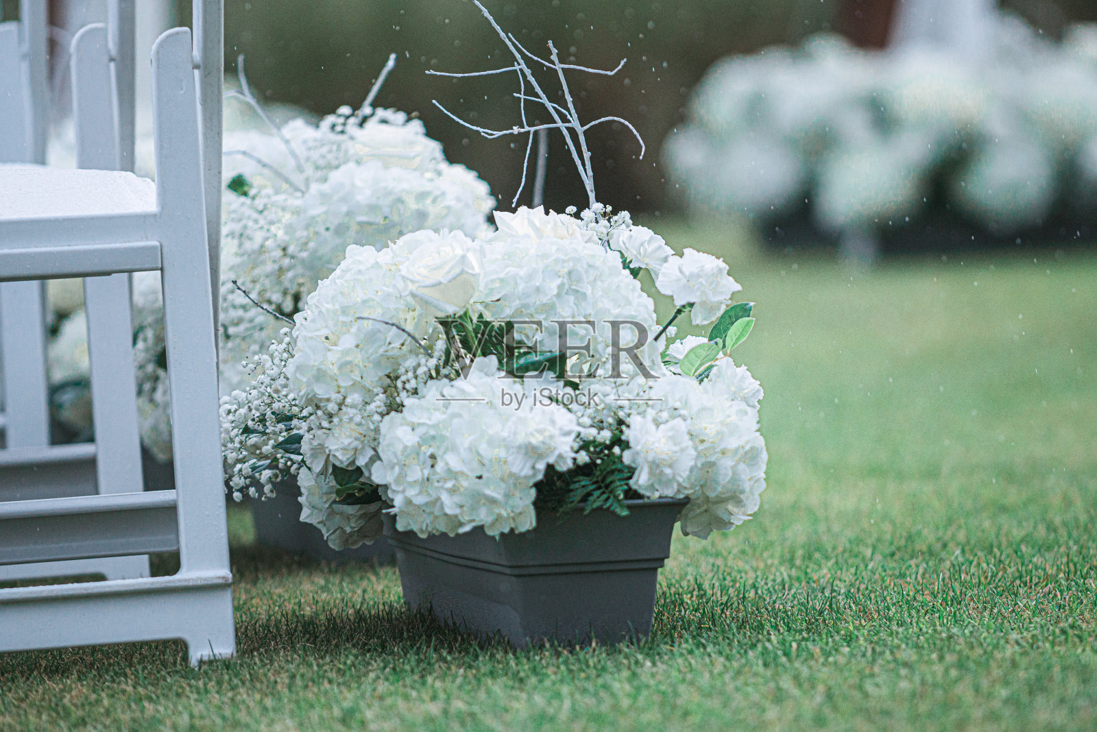 郁郁葱葱的绿色婚礼岛,白色的椅子和一排排的绣球花排列在另一个佛罗里达婚礼前照片摄影图片