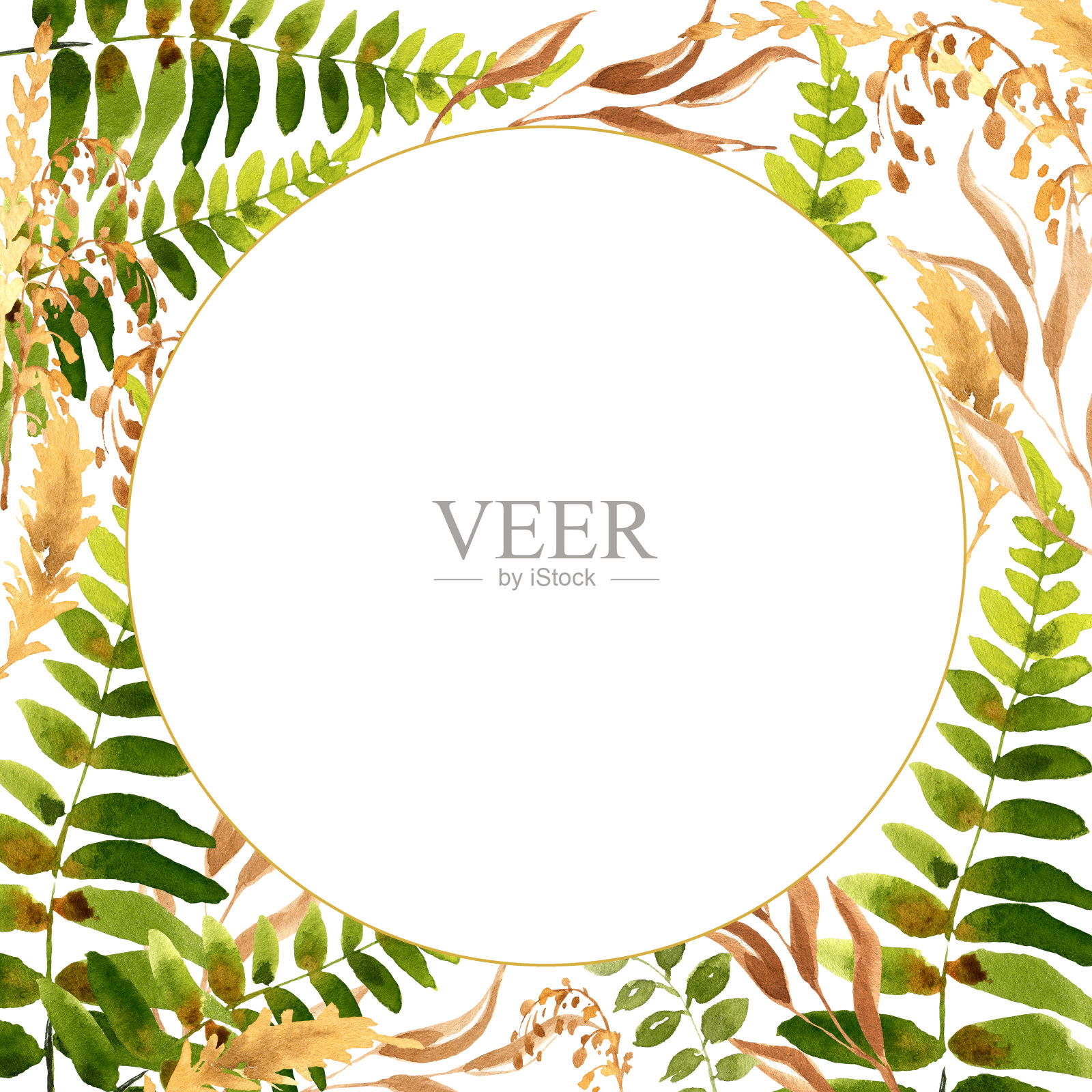 森林植物和草药,水彩绿色,棕色和米色叶子的草,蕨类,手绘插图草甸草药在白色的背景,圆形框架,模板卡片,邀请插画图片素材