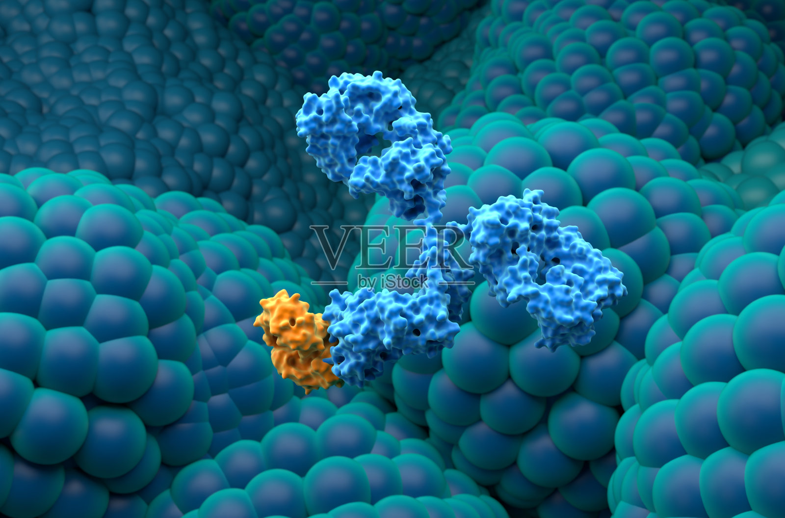单克隆抗体治疗前列腺癌-特写视图三维插图照片摄影图片