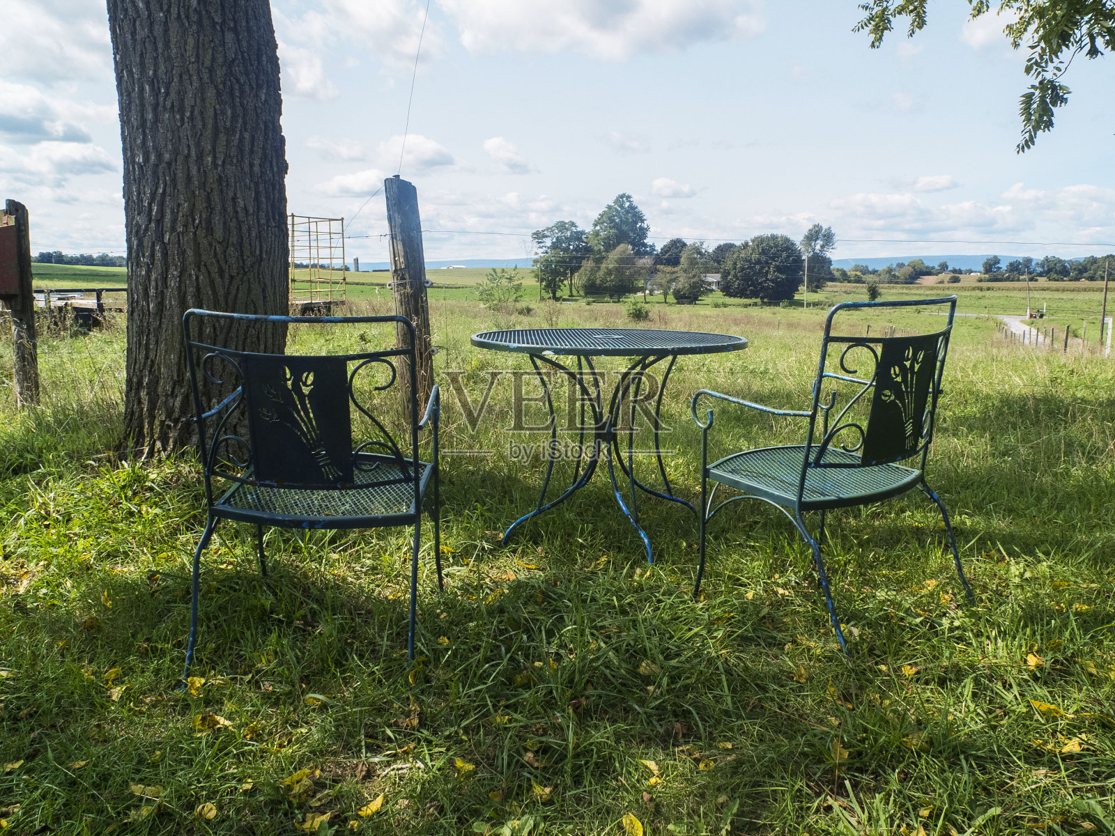 庭院坐落在一个大的草地上,有两把椅子和一张桌子照片摄影图片