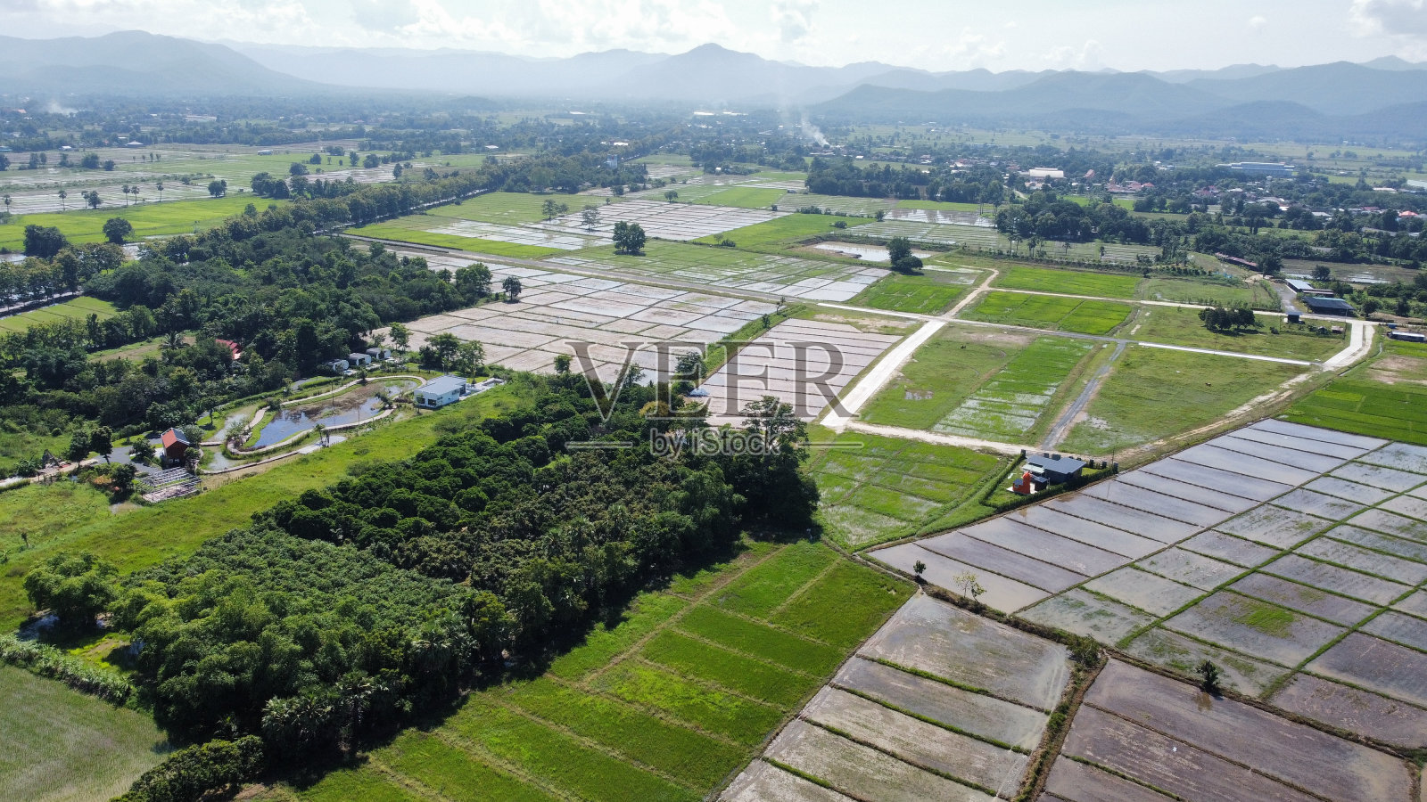 农村水田鸟瞰图照片摄影图片