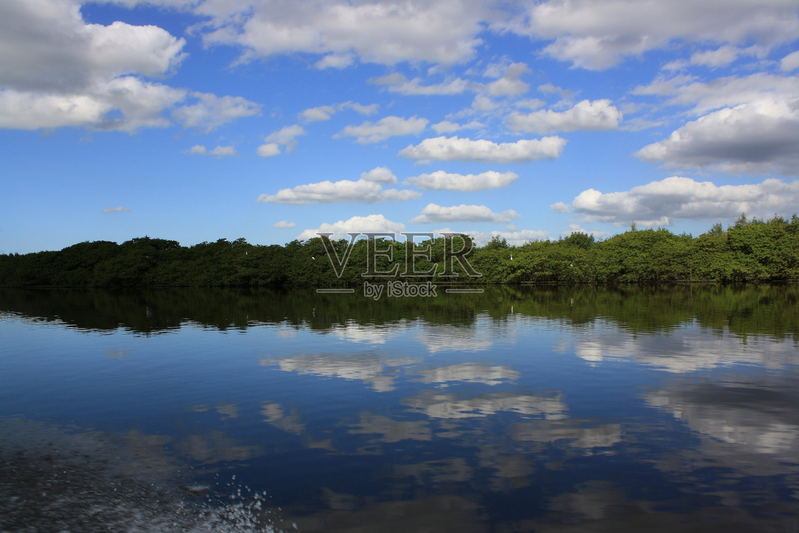 蓝天和白云在河流上的倒影,周围是红树林植被,白鸟栖息。照片摄影图片