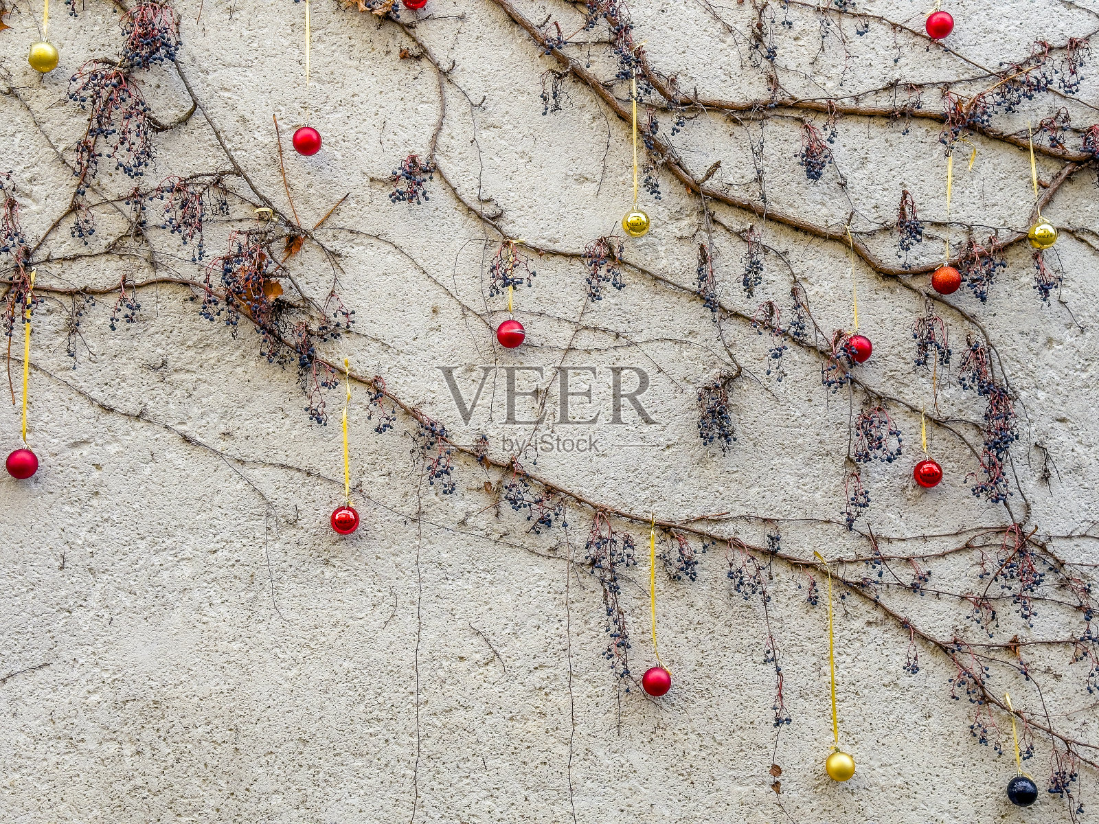 圣诞装饰的房子外墙上爬满了常春藤照片摄影图片