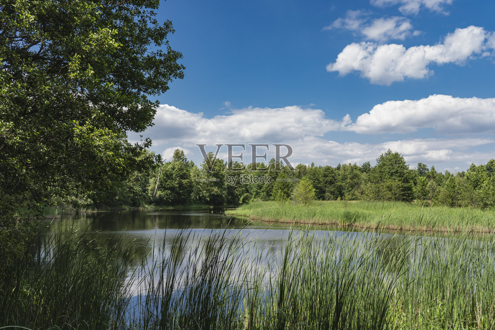 牛轭湖的自然景观,靠近一条臭虫河照片摄影图片