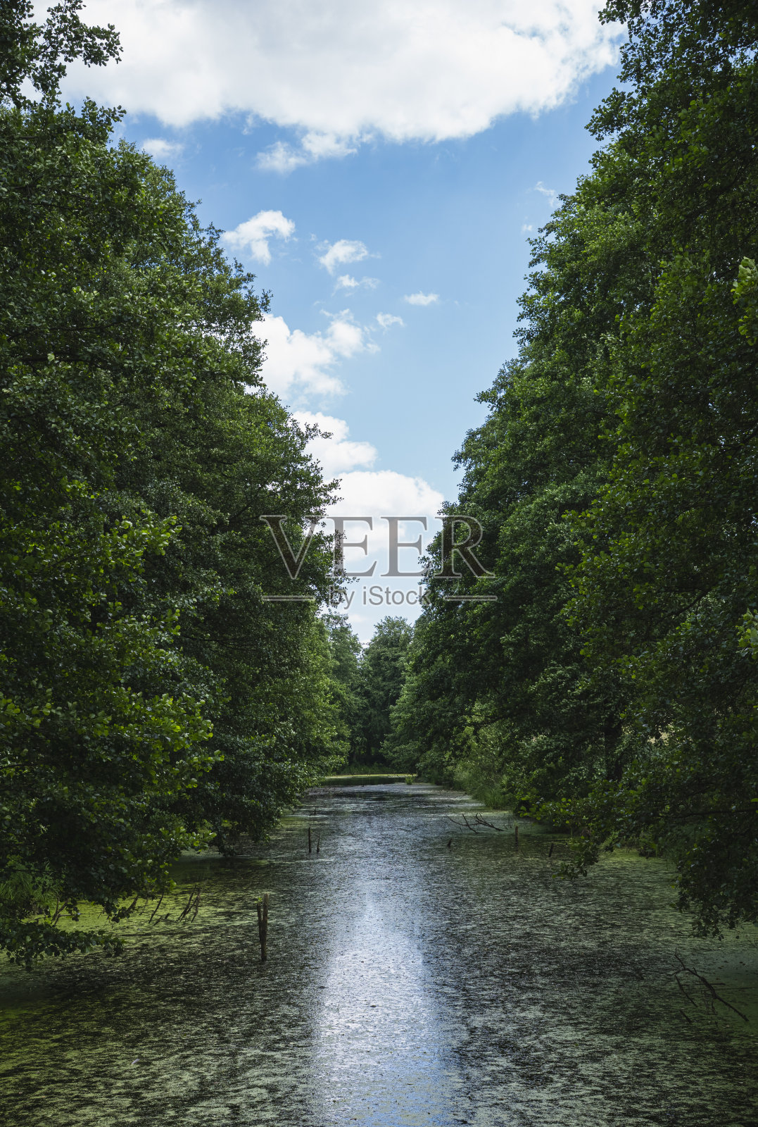 臭虫河谷的老河床景观,河岸长满了树木照片摄影图片