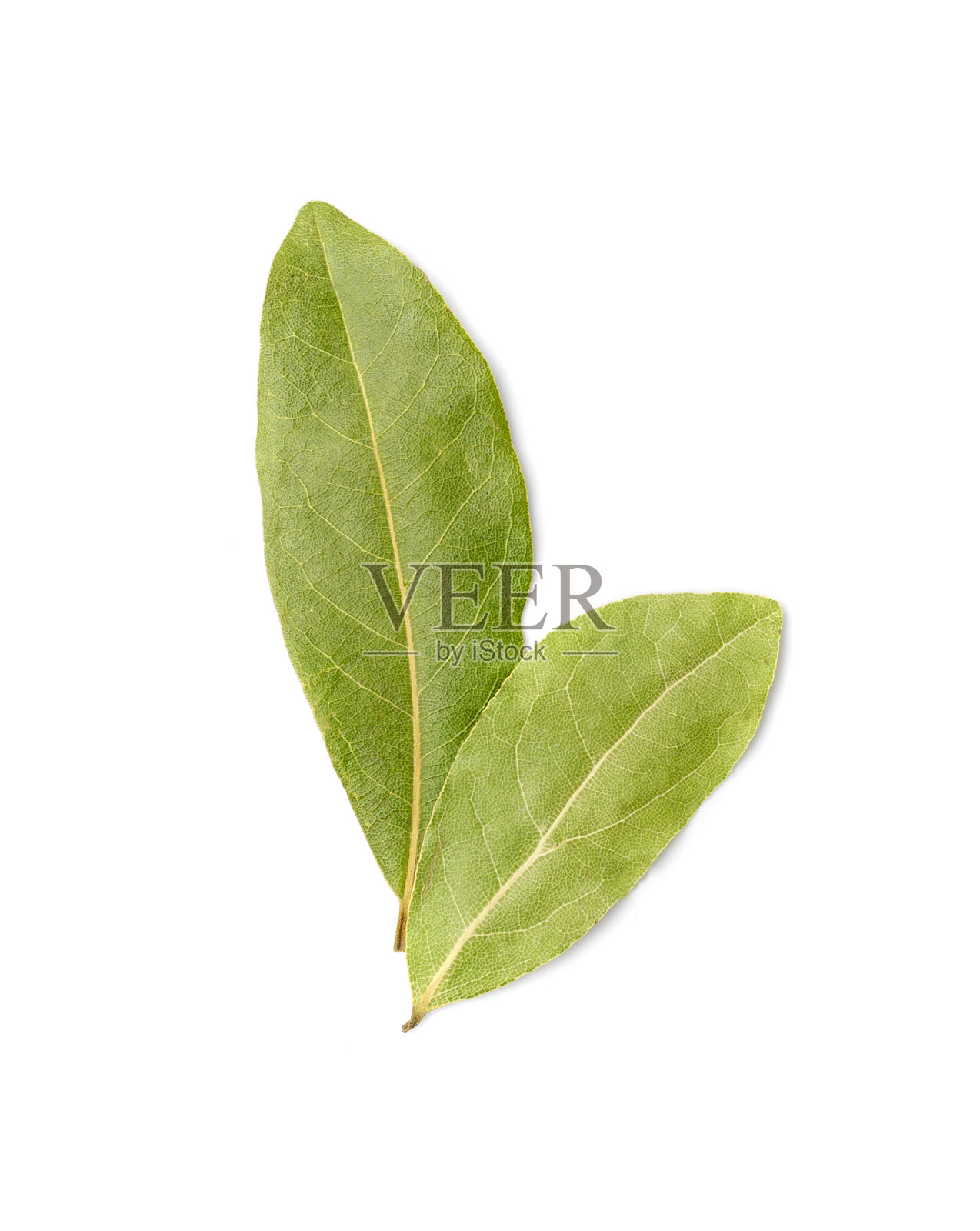 采购产品月桂叶,月桂叶,天然辛辣月桂叶,芳香成分,芳香香料照片摄影图片