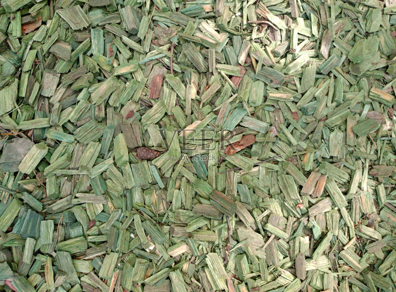 阳光照射下的浅绿色长方形大木屑照片摄影图片