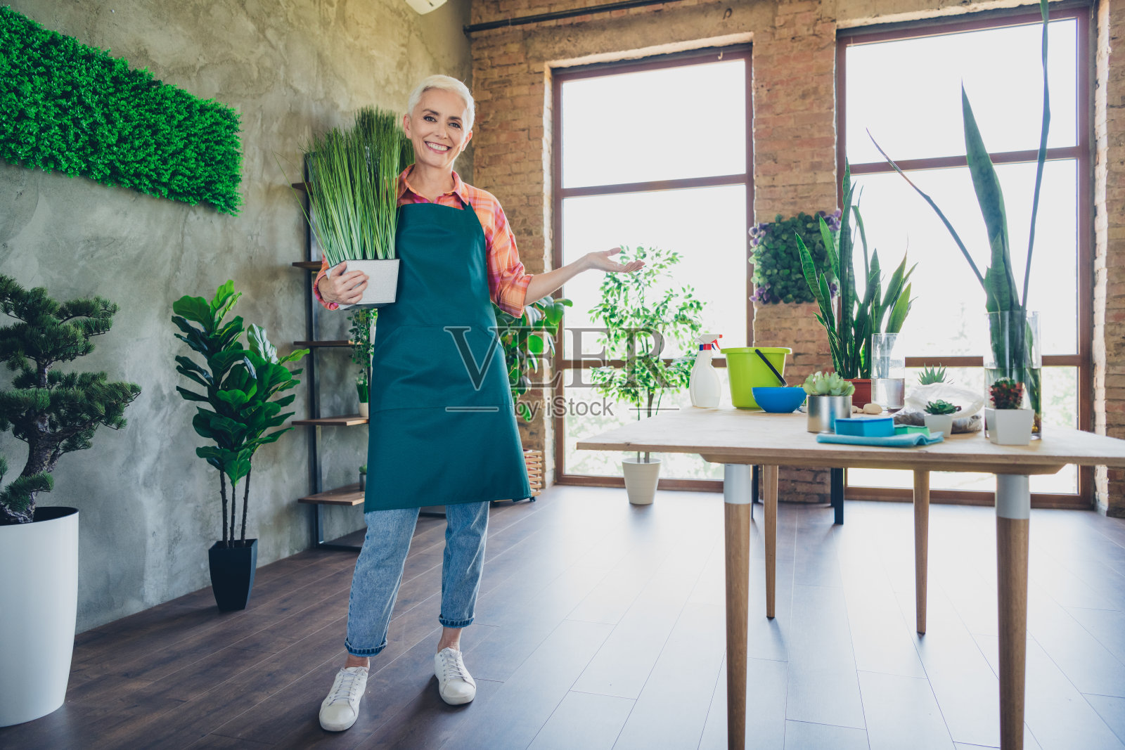 照片的相当愉快的退休女士穿着围裙种植草药邀请你的手臂在室内房屋车间照片摄影图片