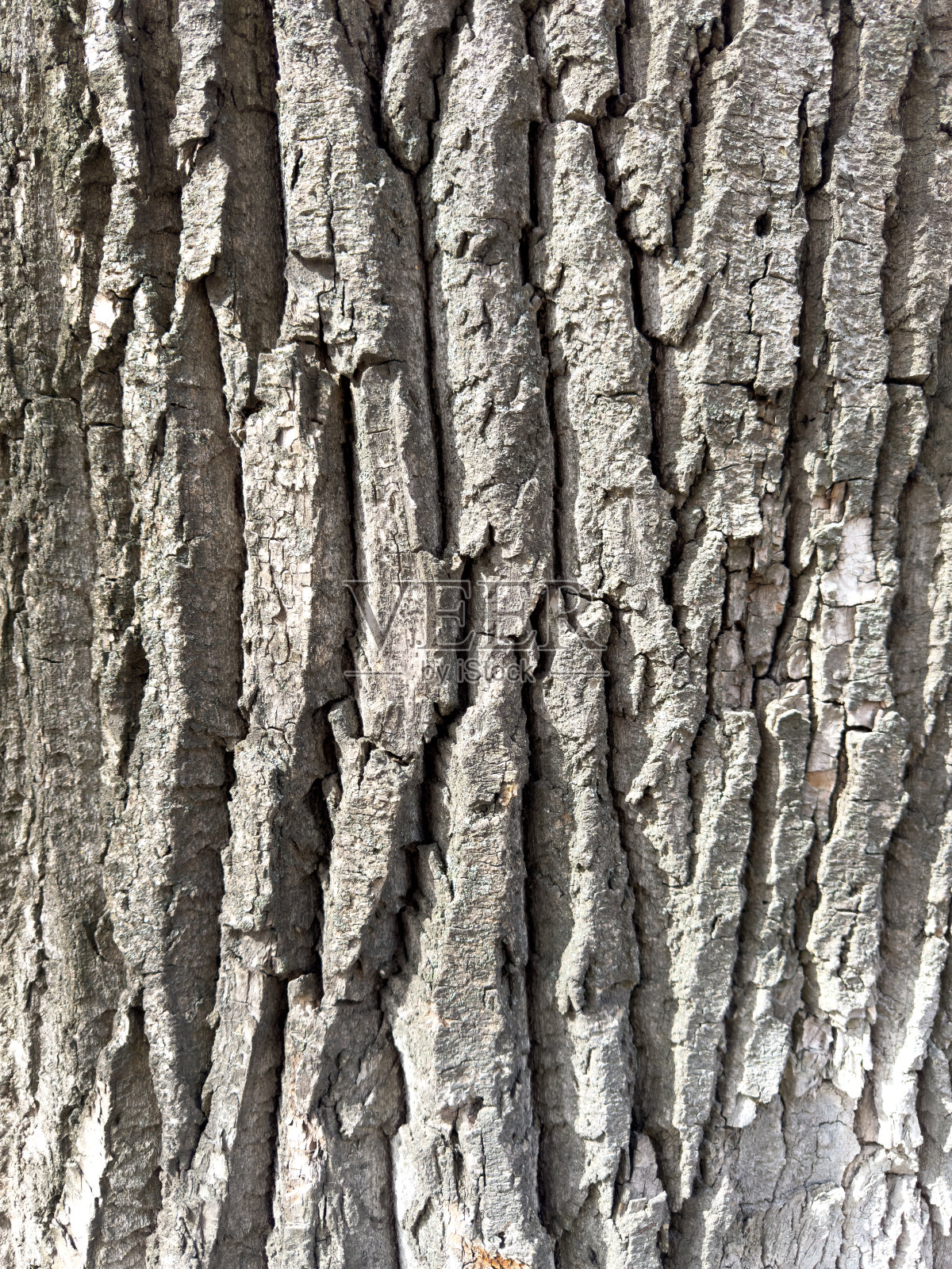 树皮作为抽象背景。纹理照片摄影图片