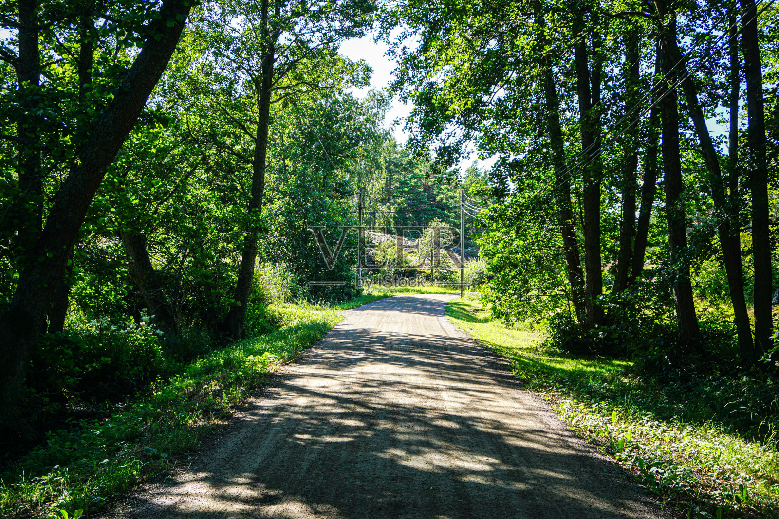 穿过森林的小路照片摄影图片